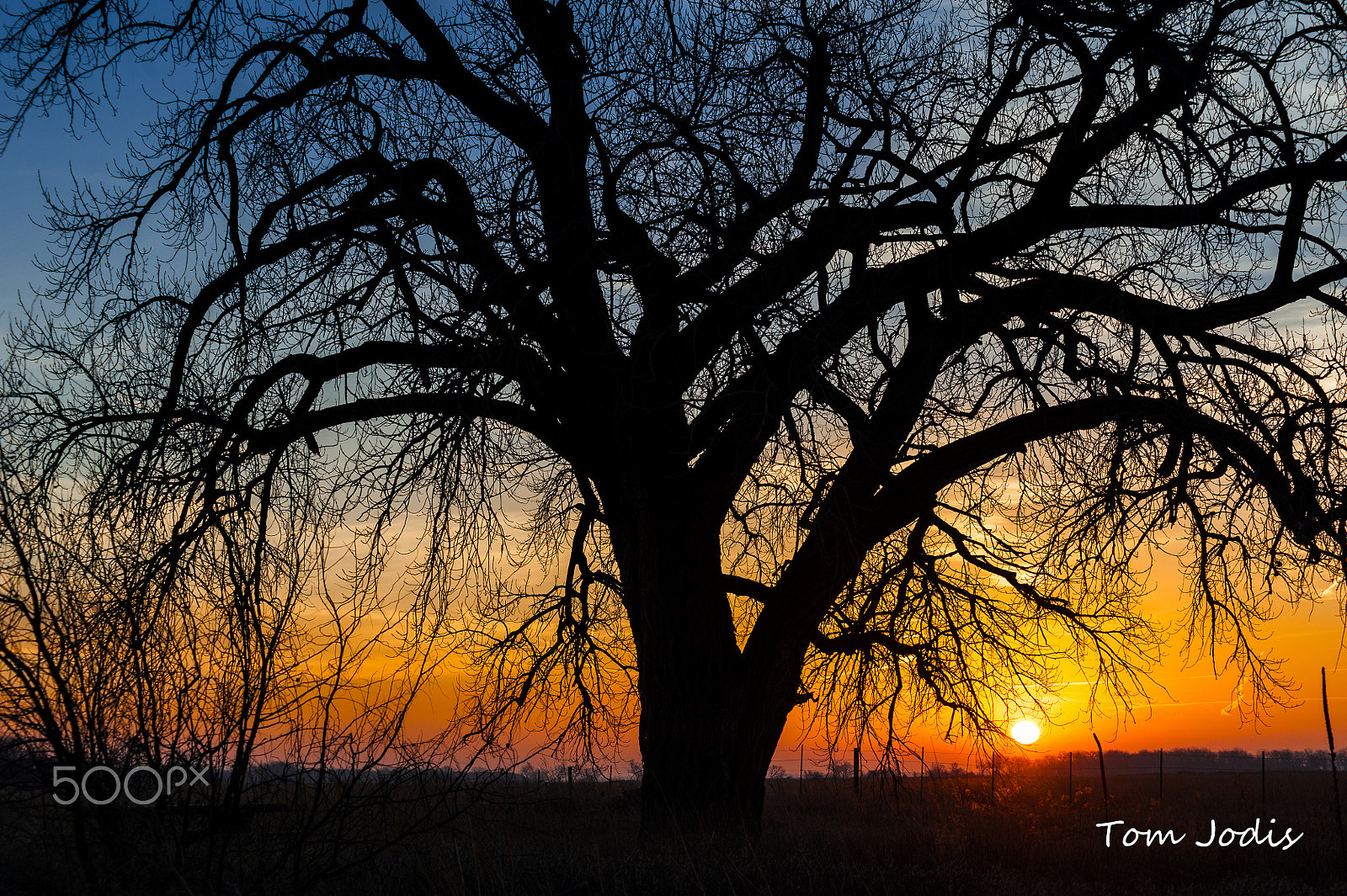 Nikon D700 sample photo. Sunrise on the platte river photography