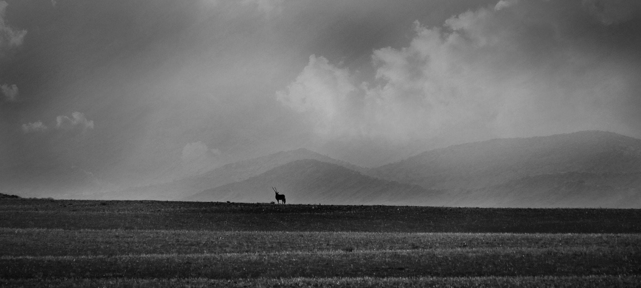 Panasonic Lumix DMC-GH3 sample photo. A drive though namibia 1 photography