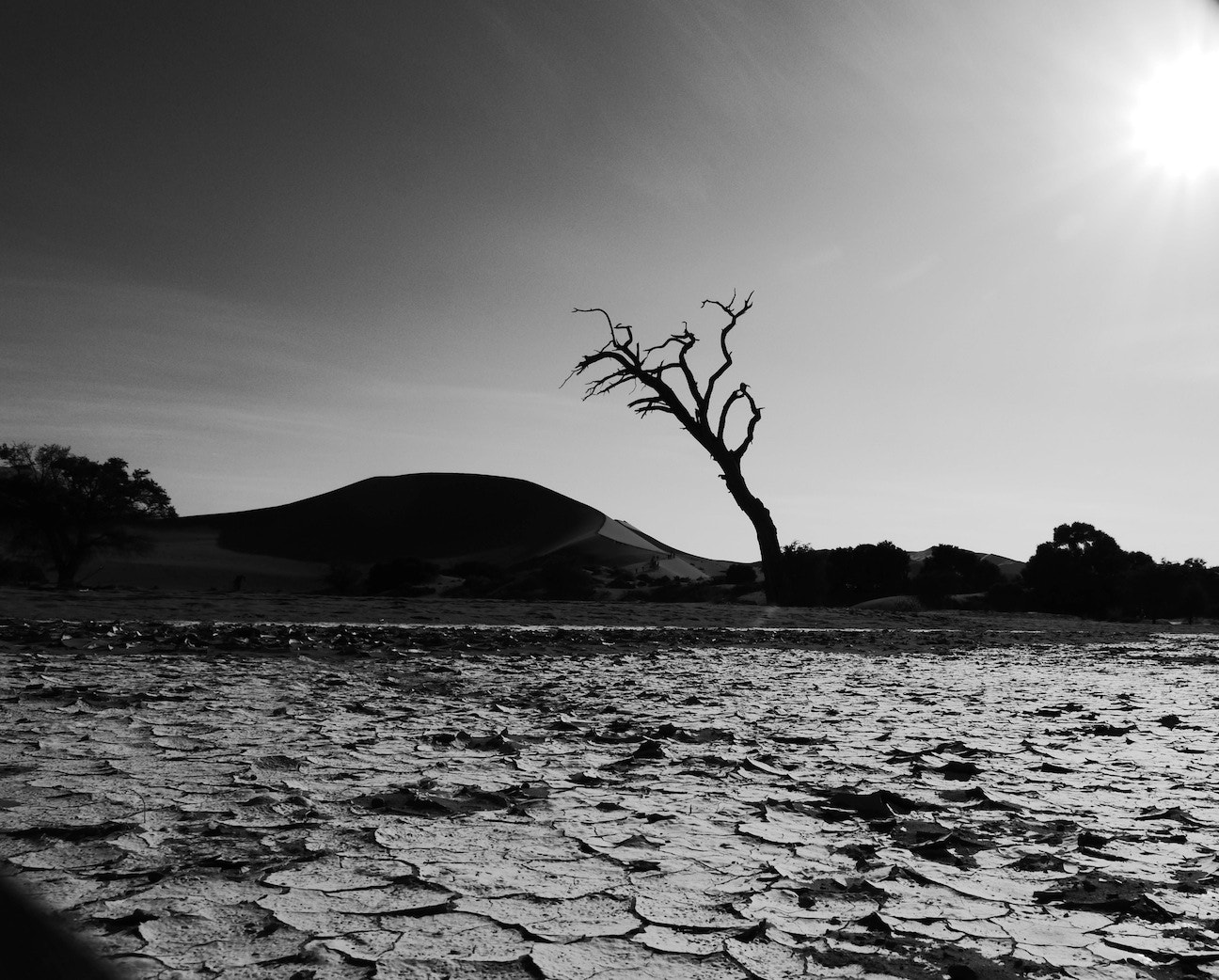 Panasonic Lumix G X Vario 12-35mm F2.8 ASPH Power OIS sample photo. A drive though namibia 8 photography