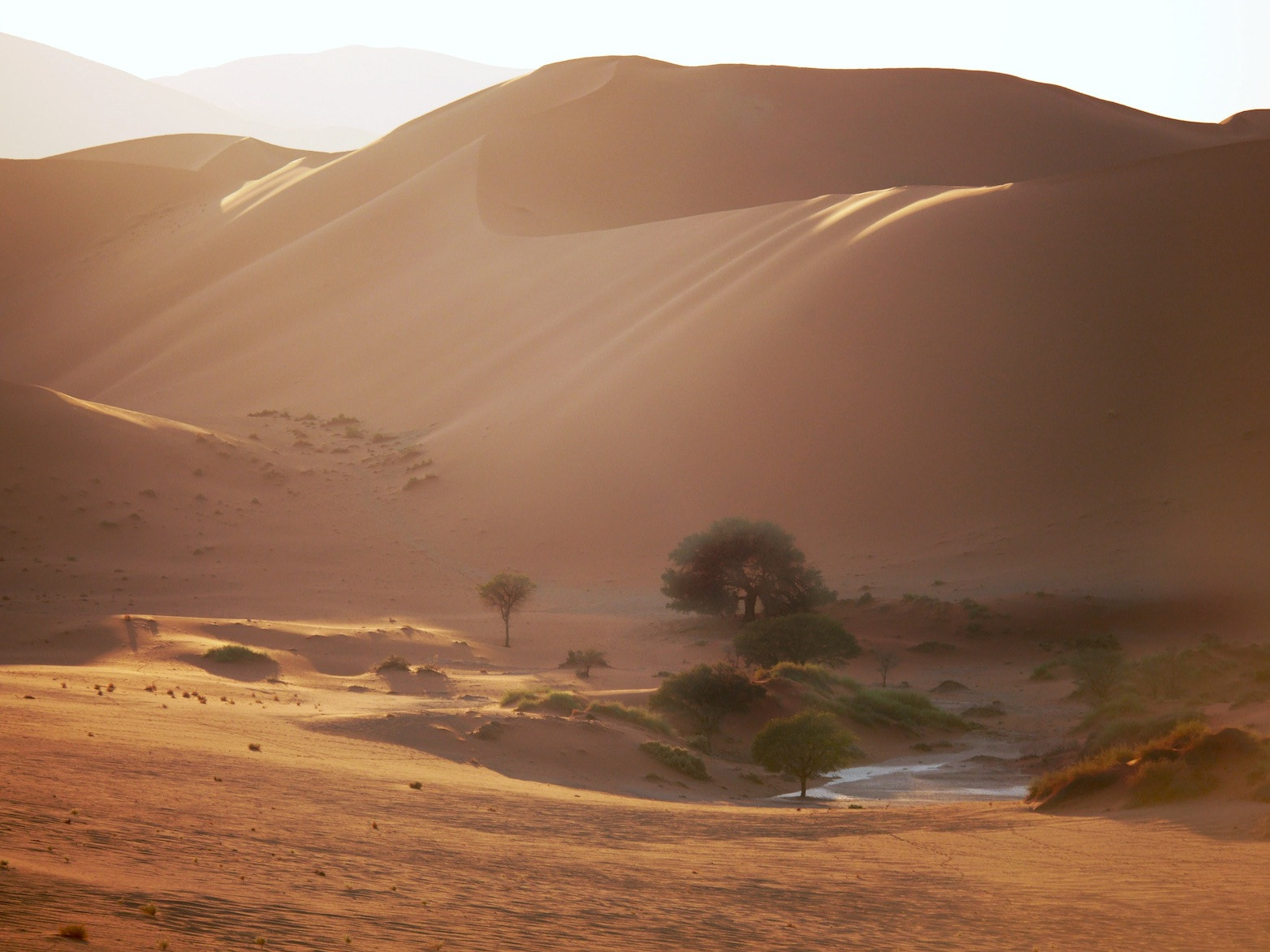 Panasonic Lumix G X Vario 35-100mm F2.8 OIS sample photo. A drive though namibia 9 photography