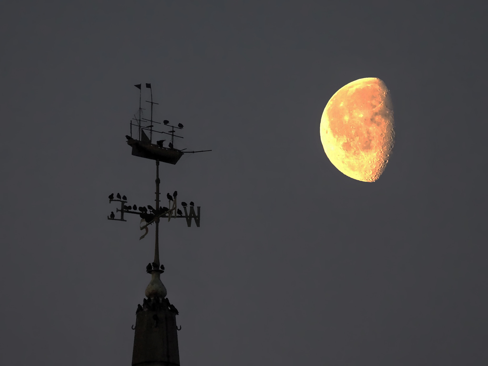 Olympus OM-D E-M1 sample photo. Sail to the moon photography