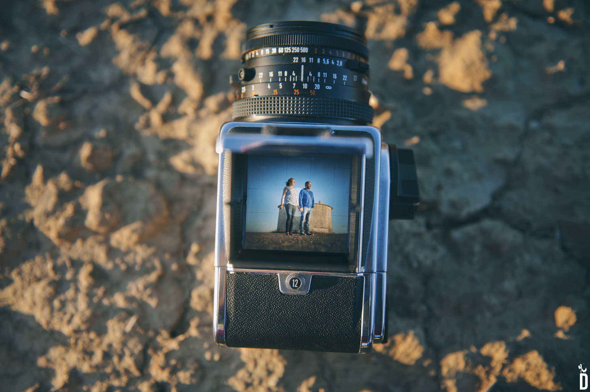 Nikon AF-S Nikkor 24-70mm F2.8G ED sample photo. Lyc photography