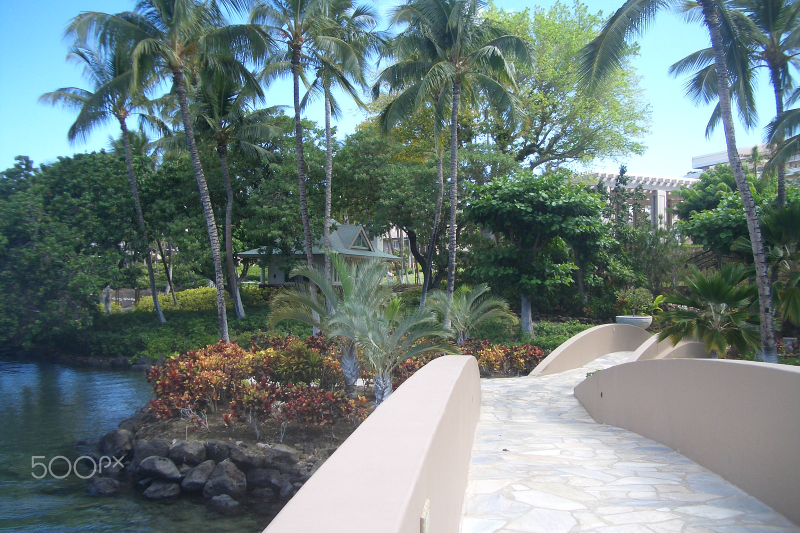 CASIO EX-Z40 sample photo. Island bridge photography