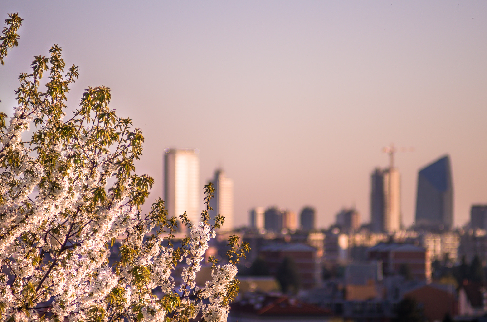 Pentax K-5 IIs sample photo. Spring is coming photography