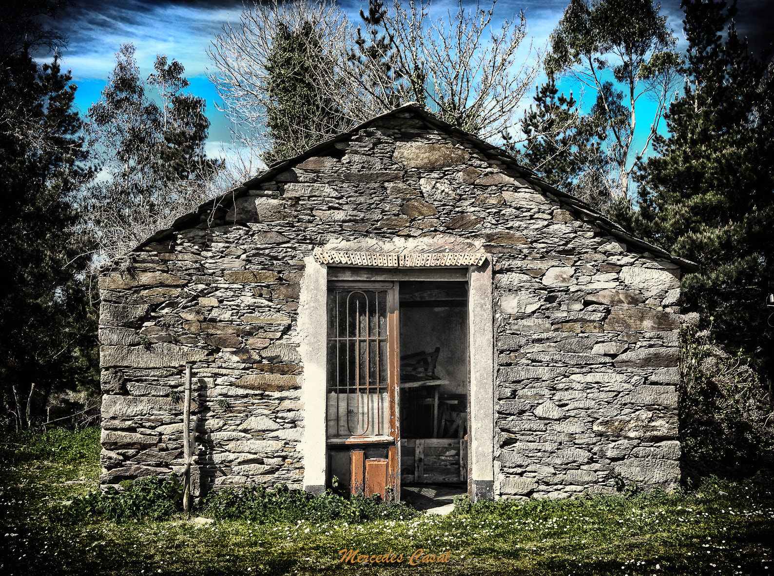 Nikon D7200 sample photo. Barn photography