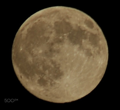 AF Zoom-Nikkor 70-300mm f/4-5.6D ED sample photo. Moon photography