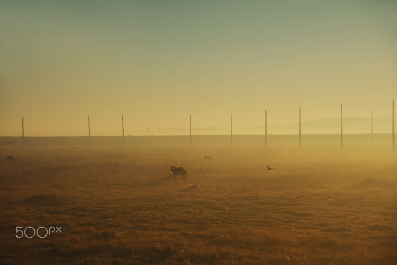 Canon EOS 5D sample photo. Early morning photography