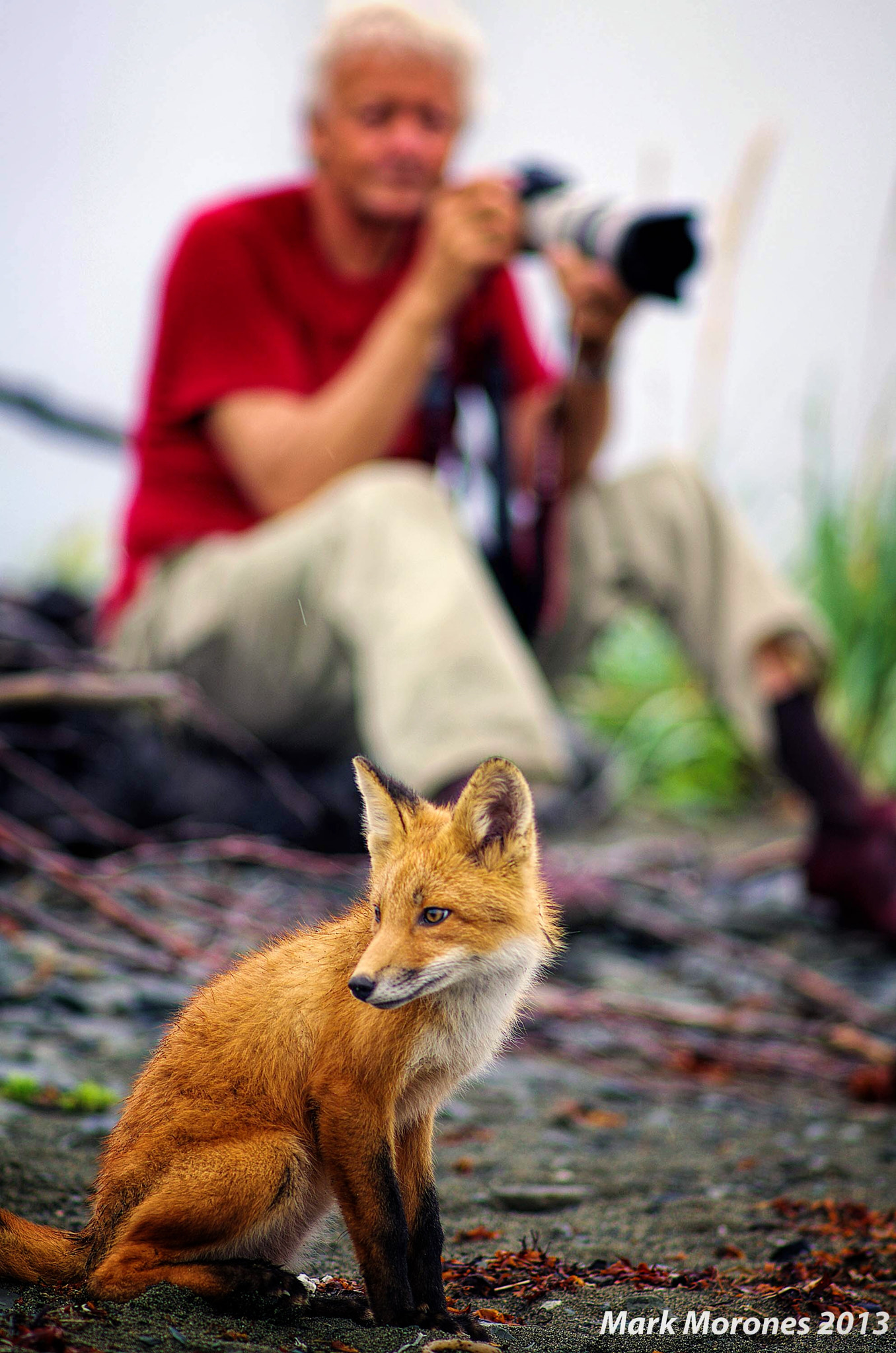 Pentax K-5 + Pentax smc DA* 200mm F2.8 ED (IF) SDM sample photo. What's he looking at? photography