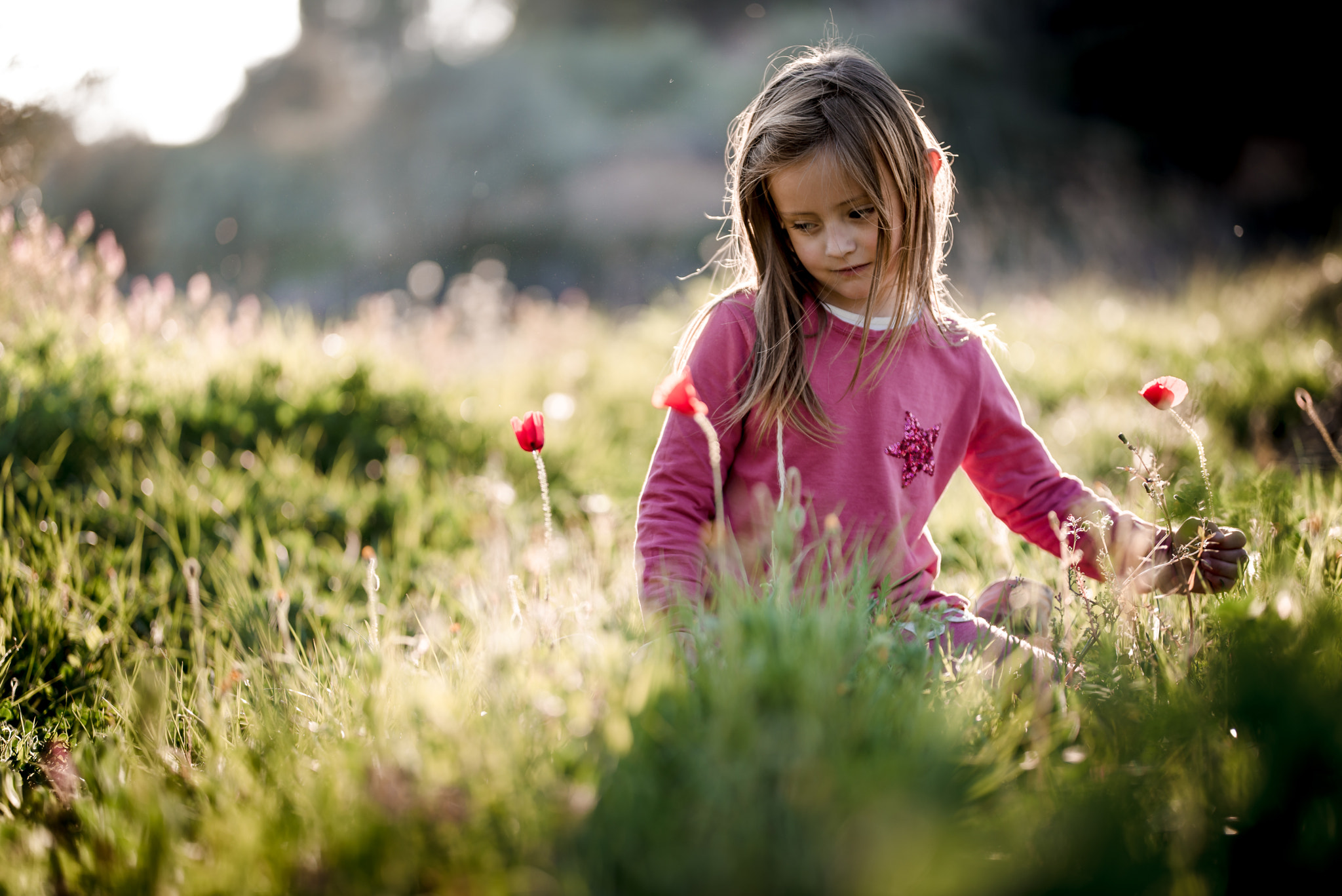 Nikon D610 + Sigma 105mm F2.8 EX DG Macro sample photo. Little flowers photography