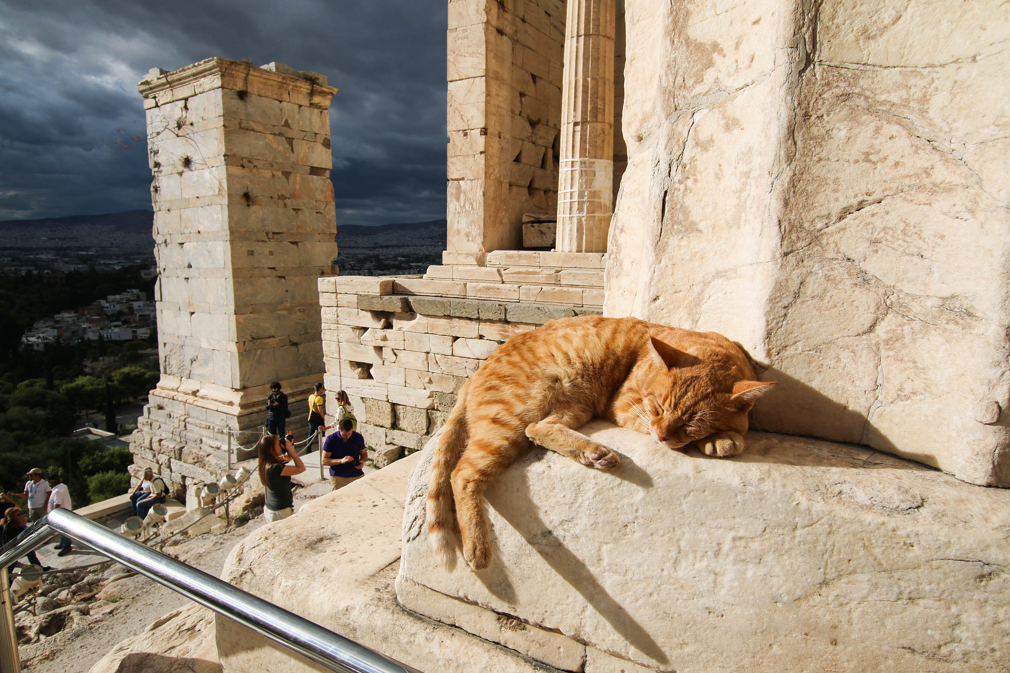 Sigma 10-20mm F3.5 EX DC HSM sample photo. The cat and the parthenon photography
