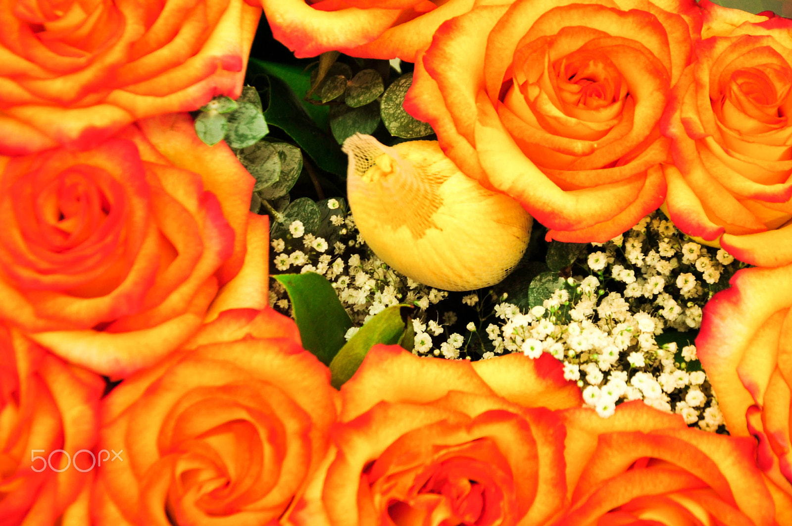Nikon D700 sample photo. Bouquet photography