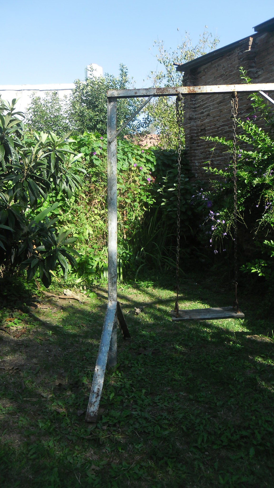 Samsung ES80/ ES81 sample photo. Swing in the backyard photography