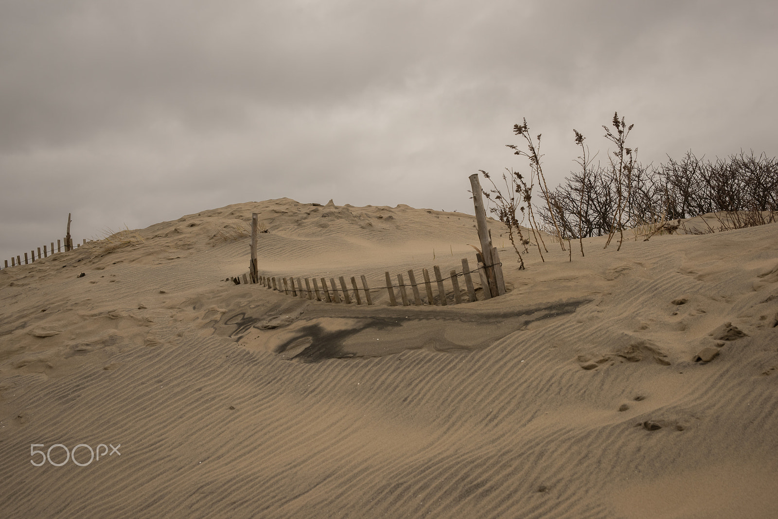 Sigma 24-70mm F2.8 EX DG HSM sample photo. Sandy hook photography
