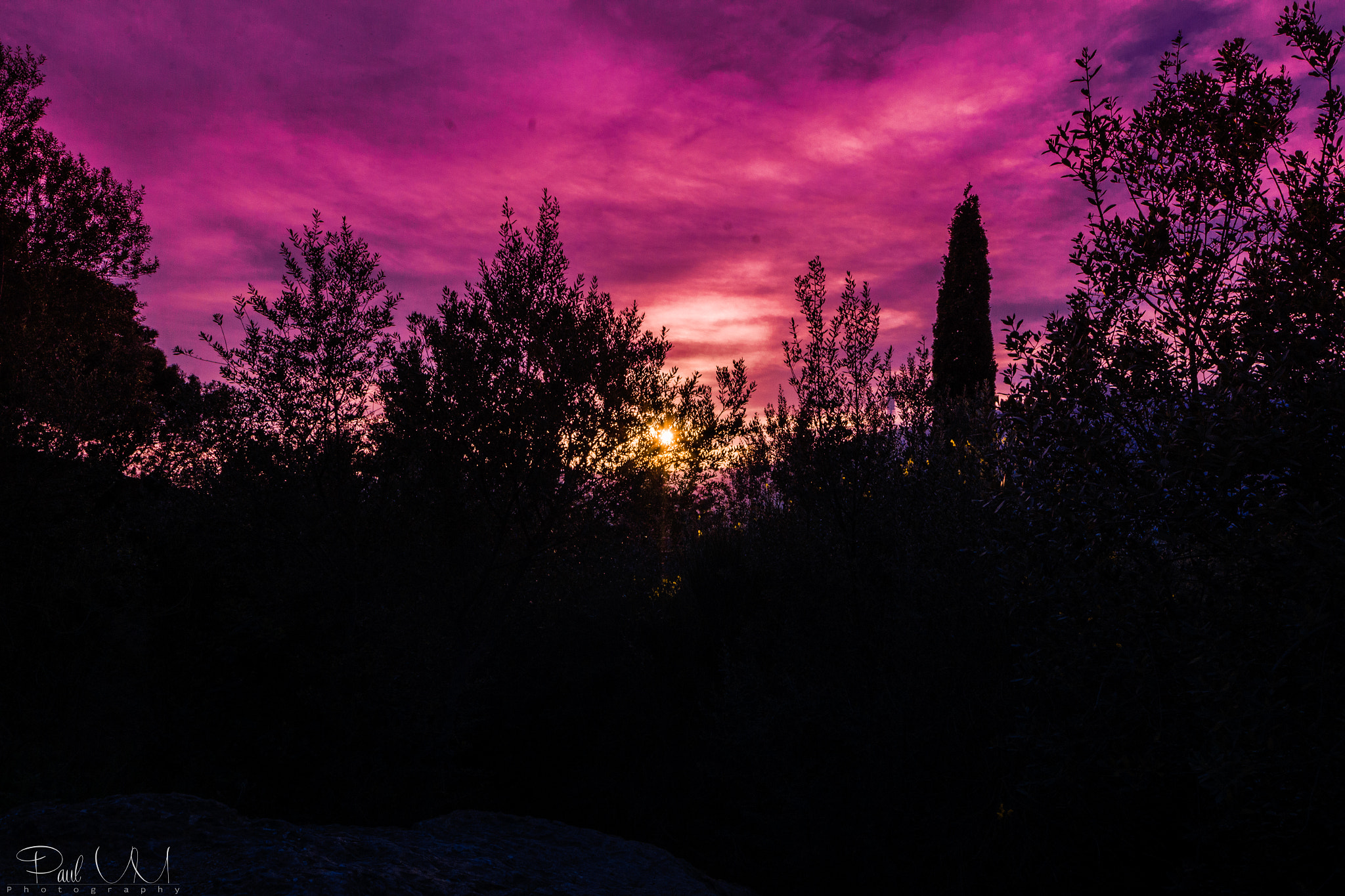 Sigma 8-16mm F4.5-5.6 DC HSM sample photo. Paseo por barcelona photography