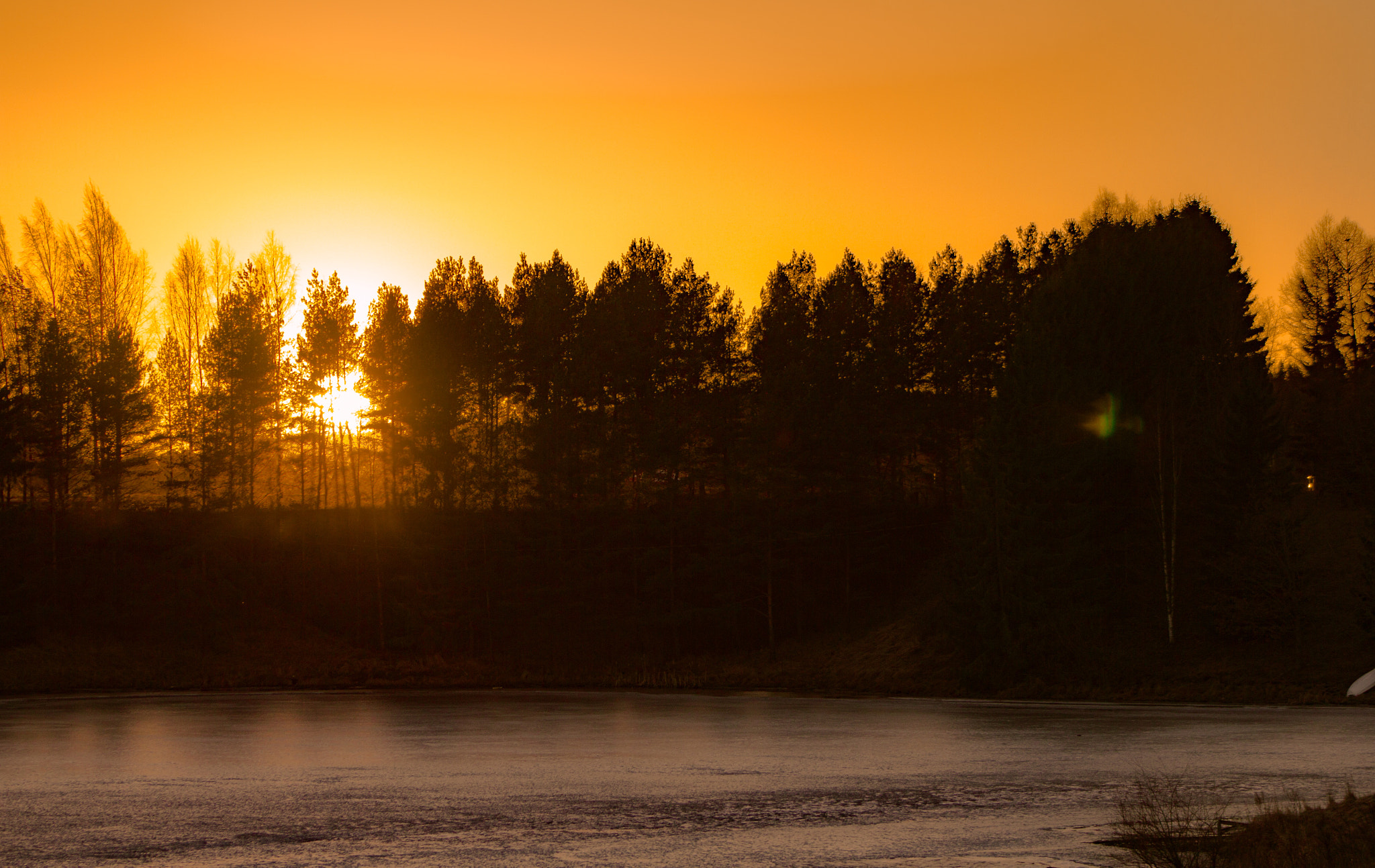 Canon EOS 550D (EOS Rebel T2i / EOS Kiss X4) + EF75-300mm f/4-5.6 sample photo. I was walking around, minding my business, when suddenly i saw an orange colored sky!!! photography