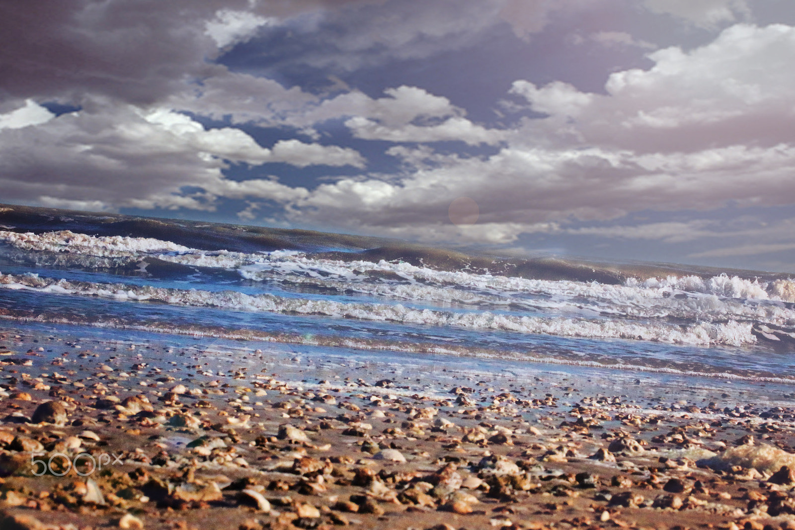 Canon EF 50mm F2.5 Macro sample photo. Glavestonbeach photography