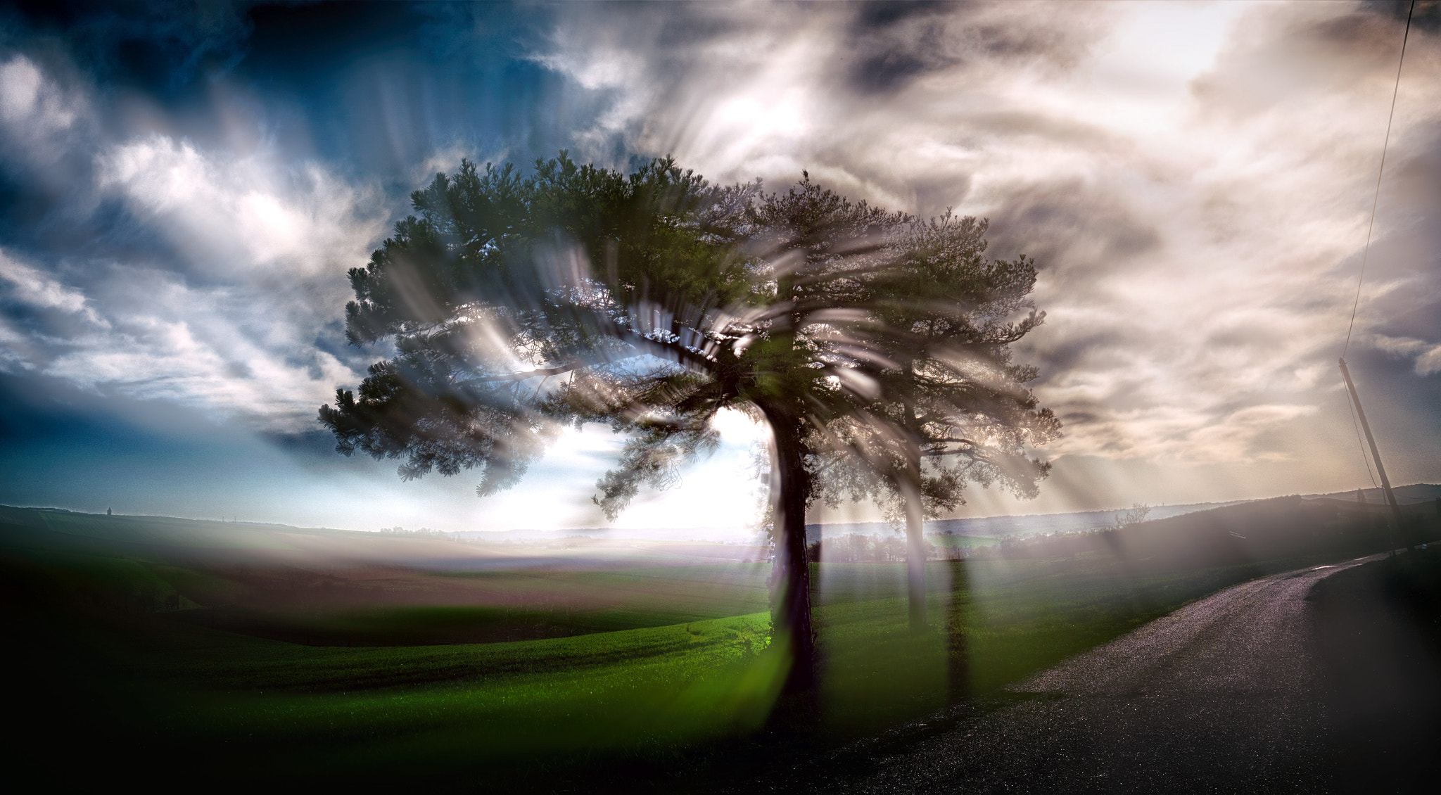 Panasonic Lumix DMC-G1 sample photo. Trees of life photography