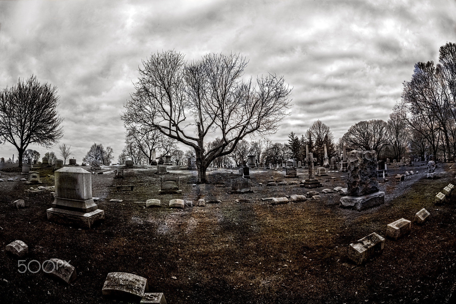 Nikon D800 sample photo. Evergreen cemetery photography