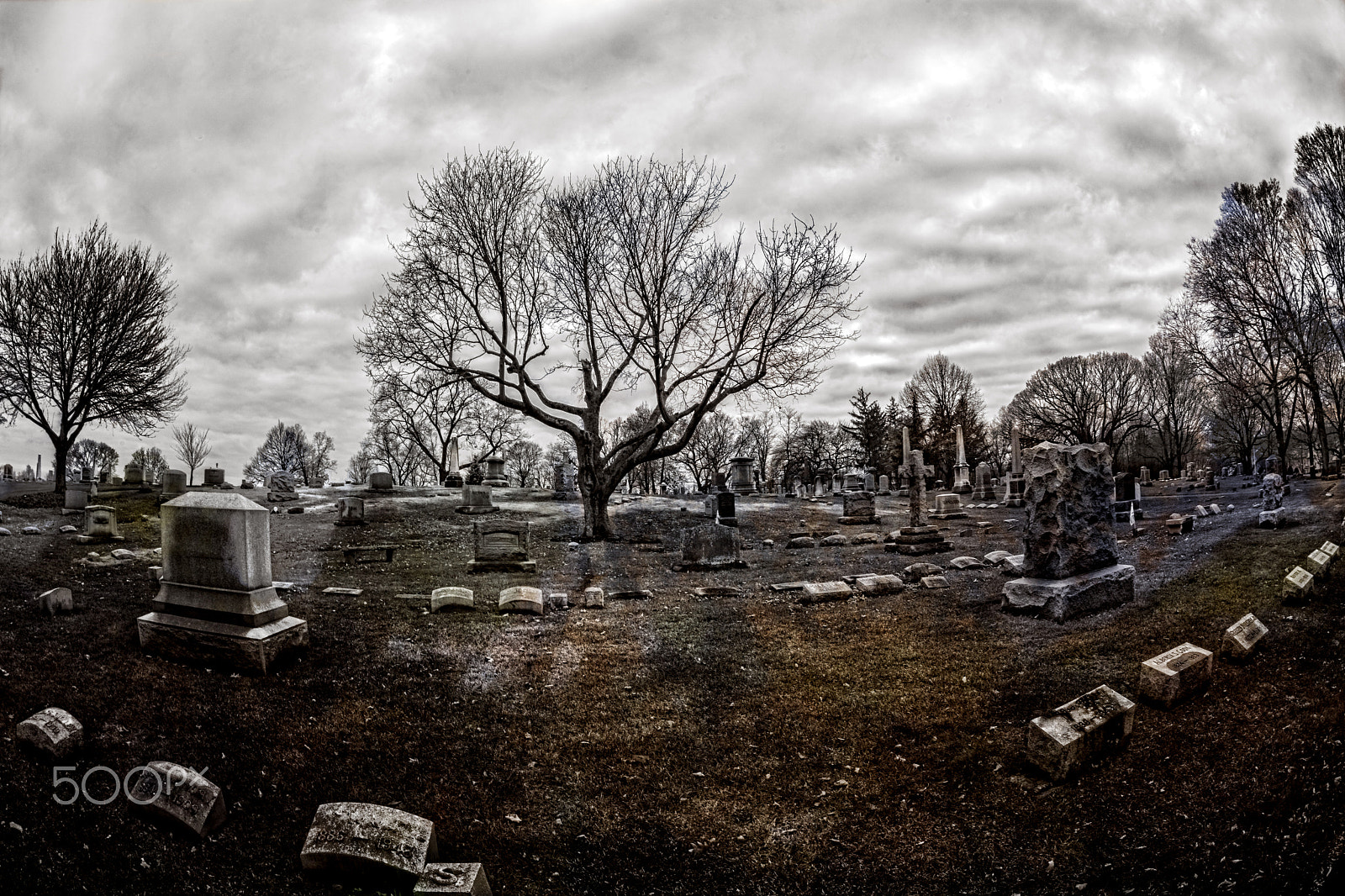 Nikon D800 + Nikon AF Fisheye-Nikkor 16mm F2.8D sample photo. Evergreen cemetery photography