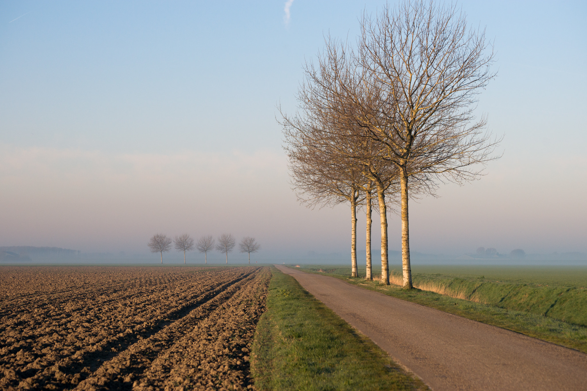 Sony 70-400mm F4-5.6 G SSM II sample photo. Those trees again... photography