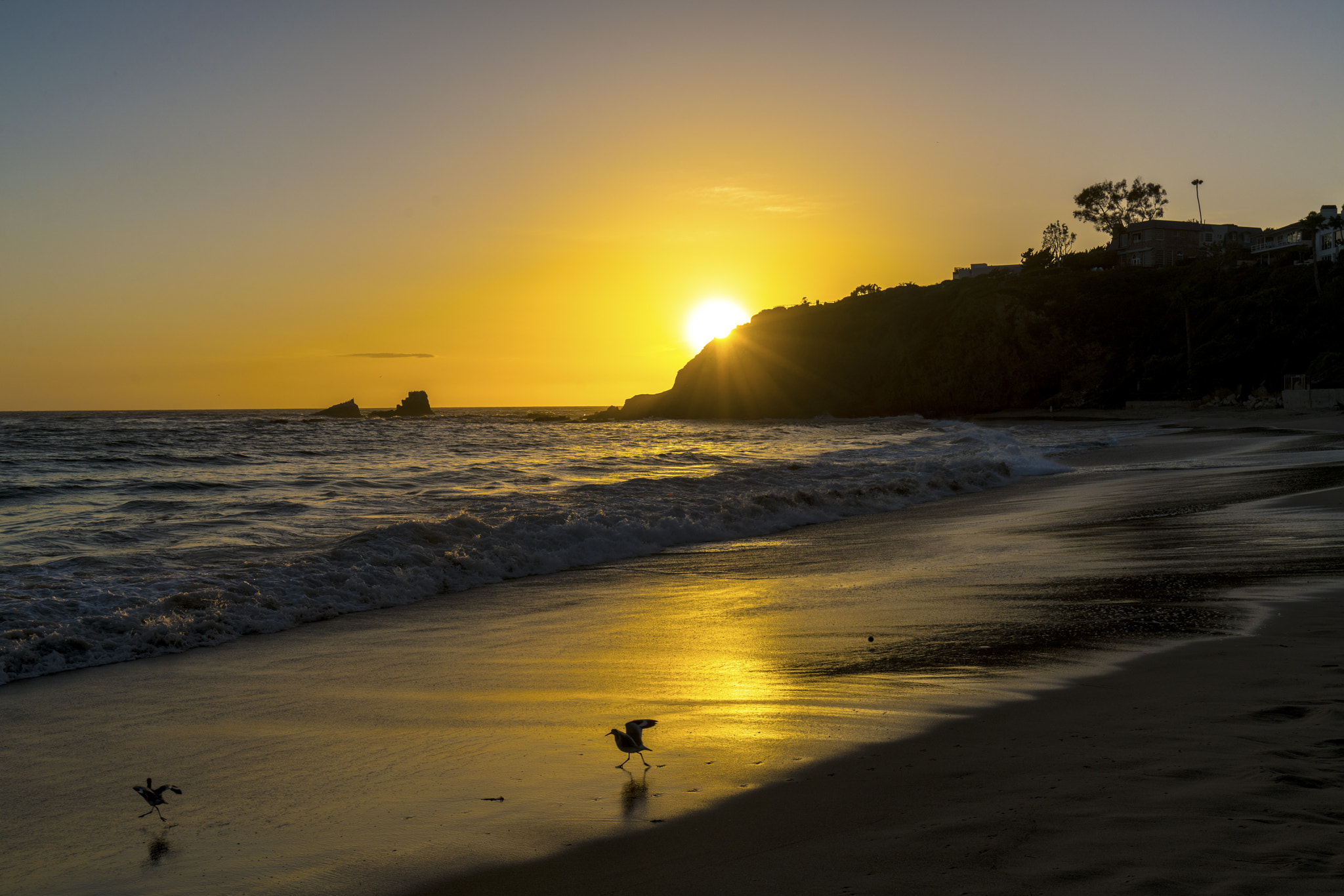 Sony a7R II + Canon EF 16-35mm F4L IS USM sample photo. California sunset at the beach photography