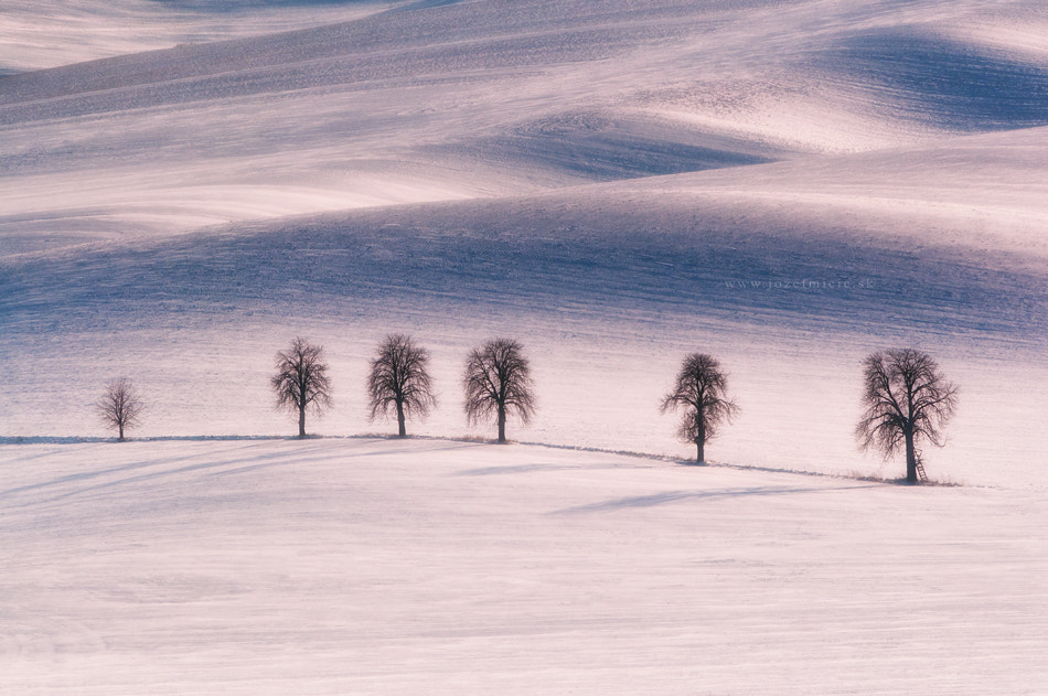 Winter Fields by Jozef Micic on 500px.com