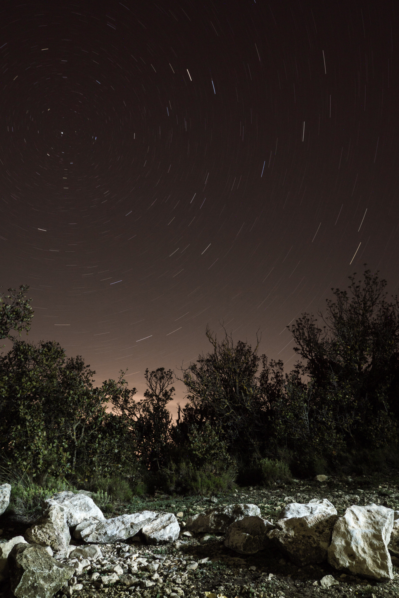 Sony ILCA-77M2 sample photo. Mi primera circumpolar photography
