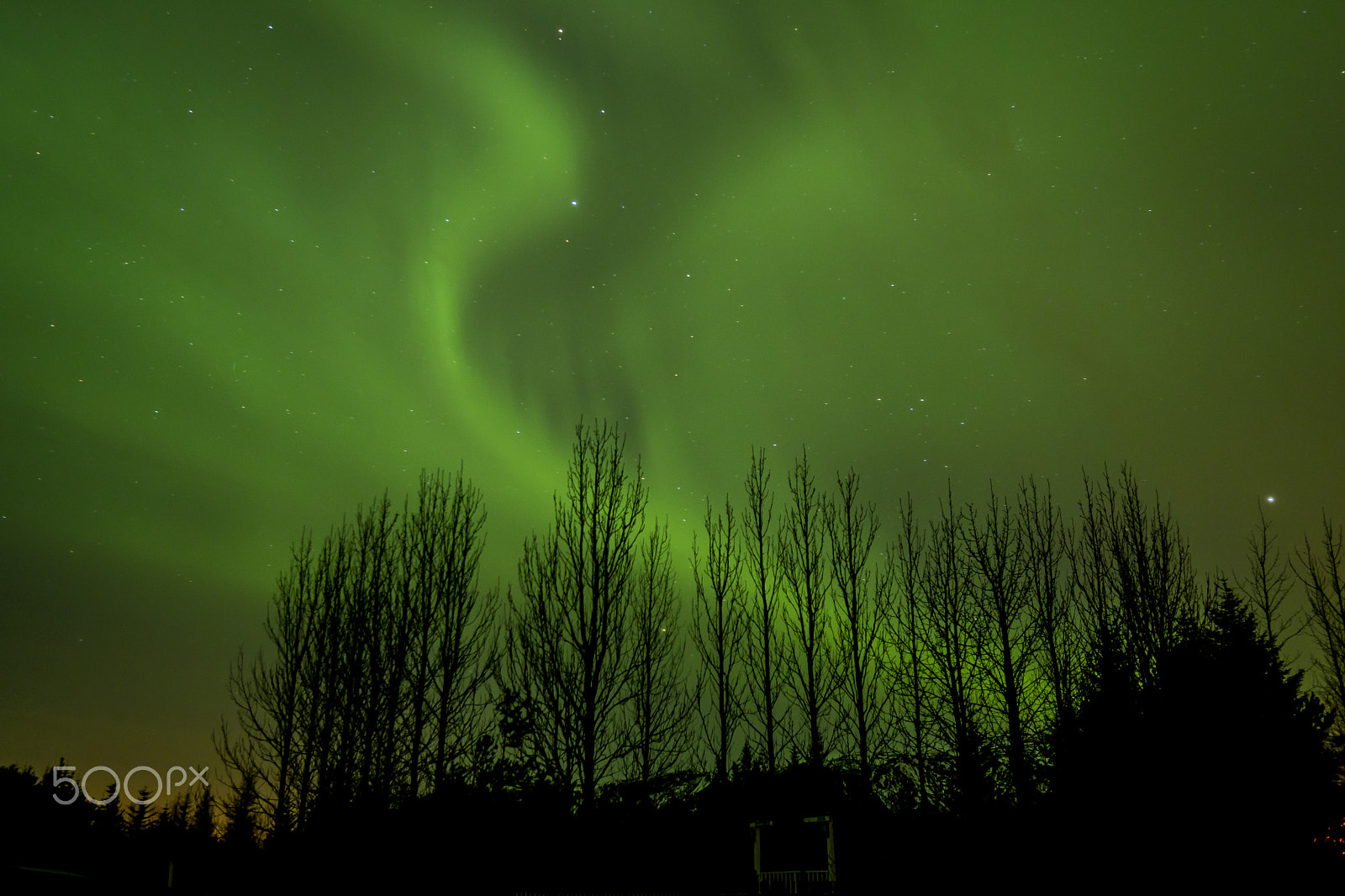 Sony a6500 sample photo. Northen lights iceland photography