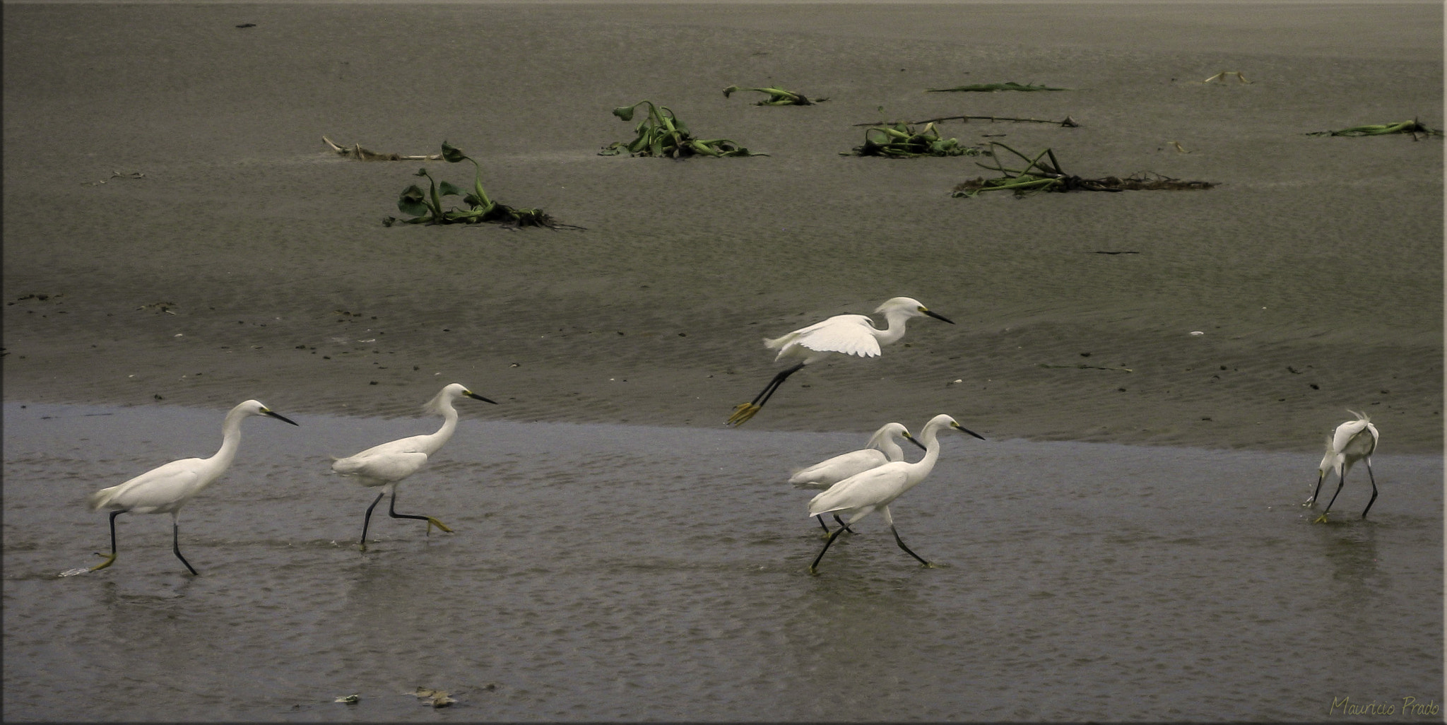 Canon PowerShot SD790 IS (Digital IXUS 90 IS / IXY Digital 95 IS) sample photo. Fishing times ... photography