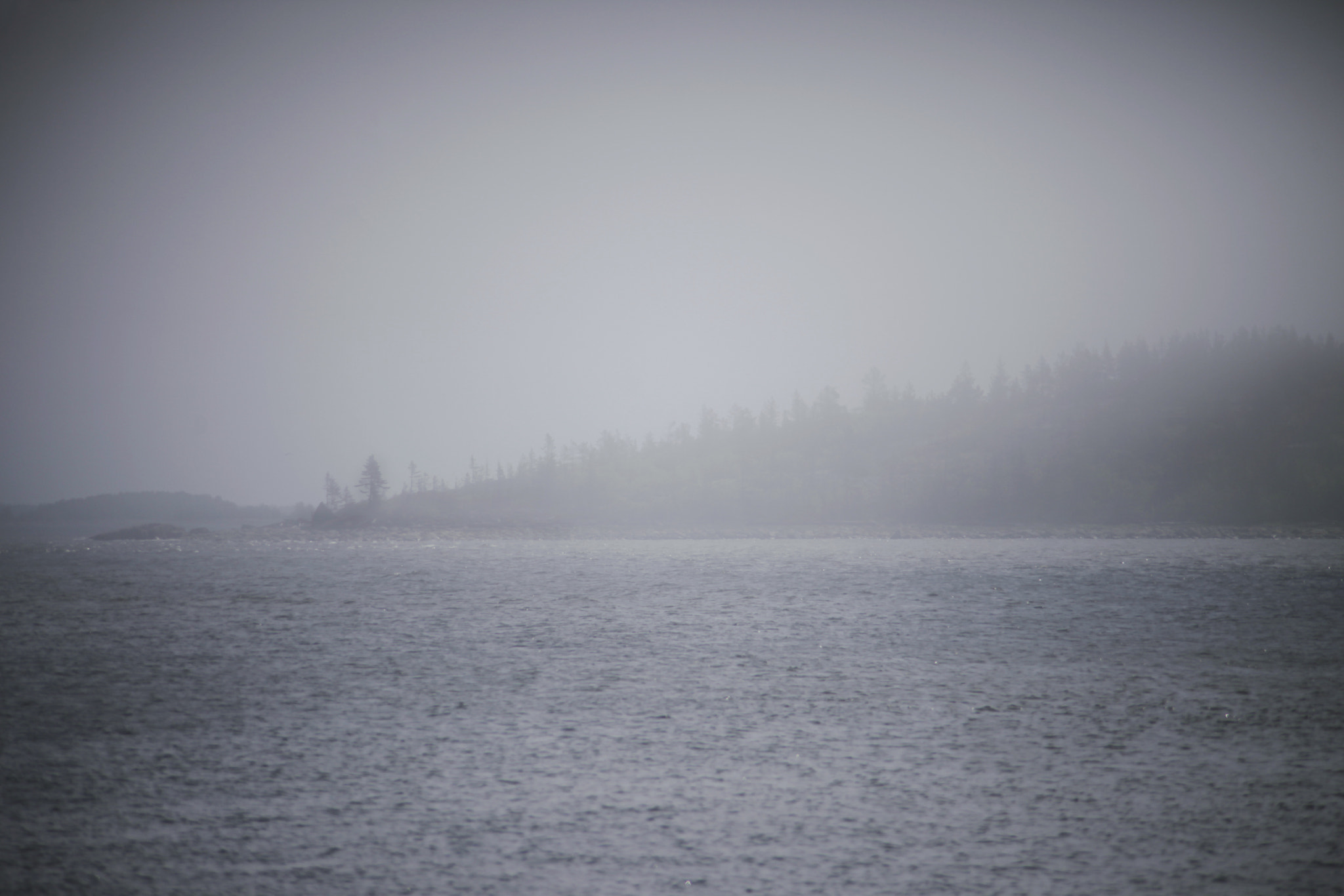 Canon EOS 5D Mark II + Canon EF 35-80mm f/4-5.6 sample photo. Fog over the water photography