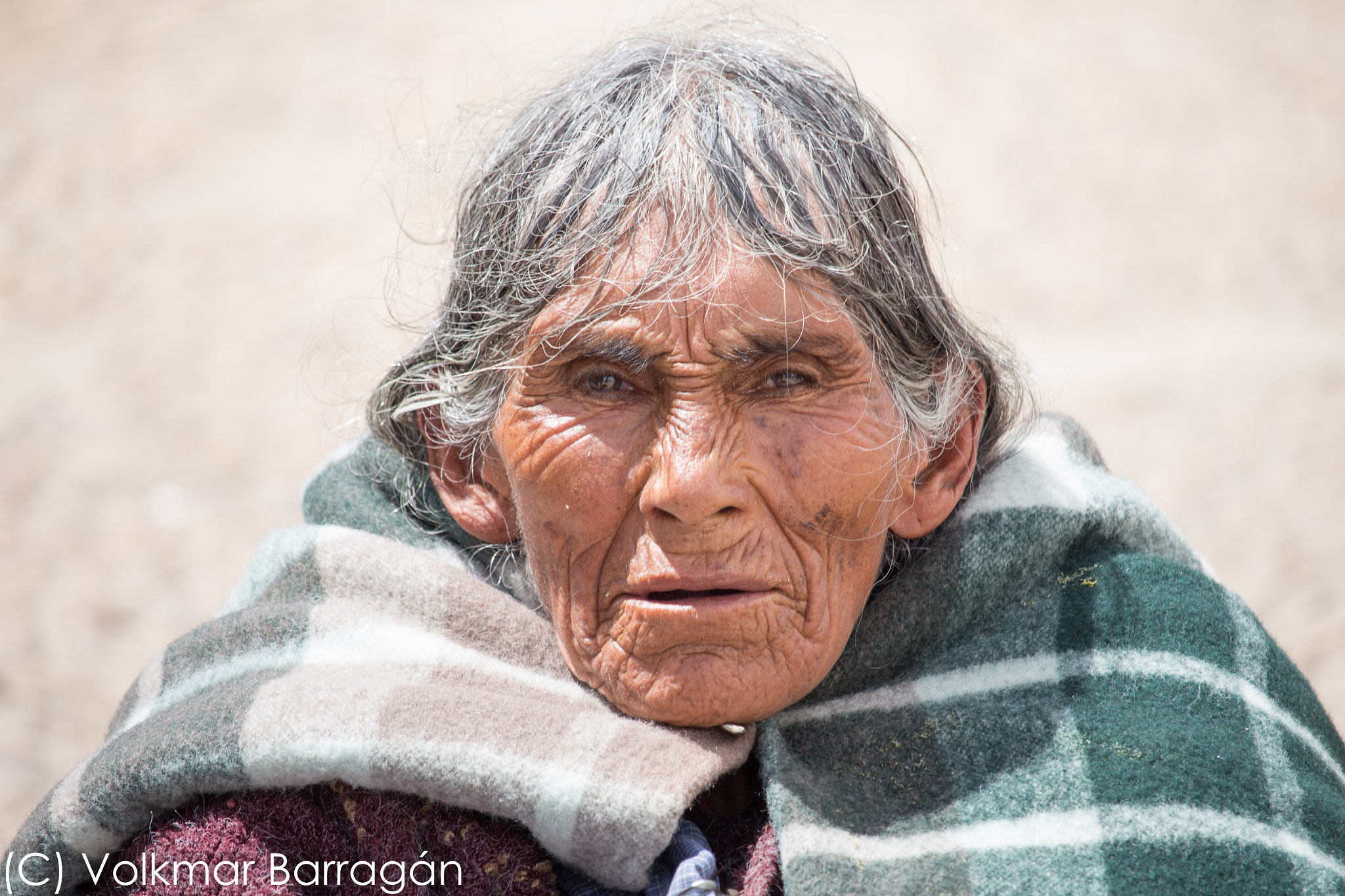 Canon EF-S 55-250mm F4-5.6 IS STM sample photo. Portrait ii photography
