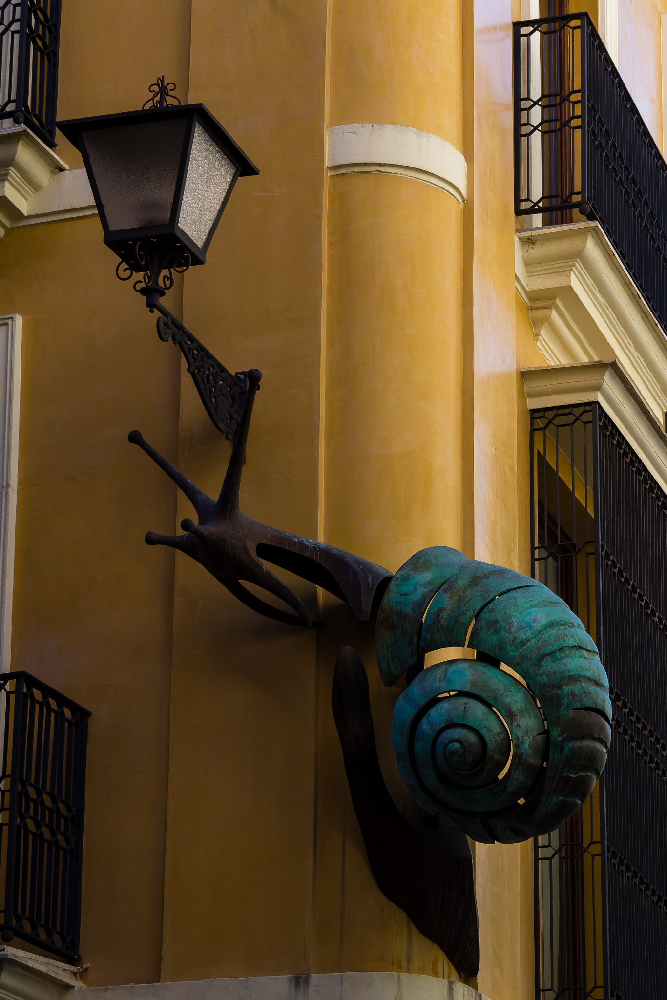Sigma 18-250mm F3.5-6.3 DC OS HSM sample photo. Giant snail photography