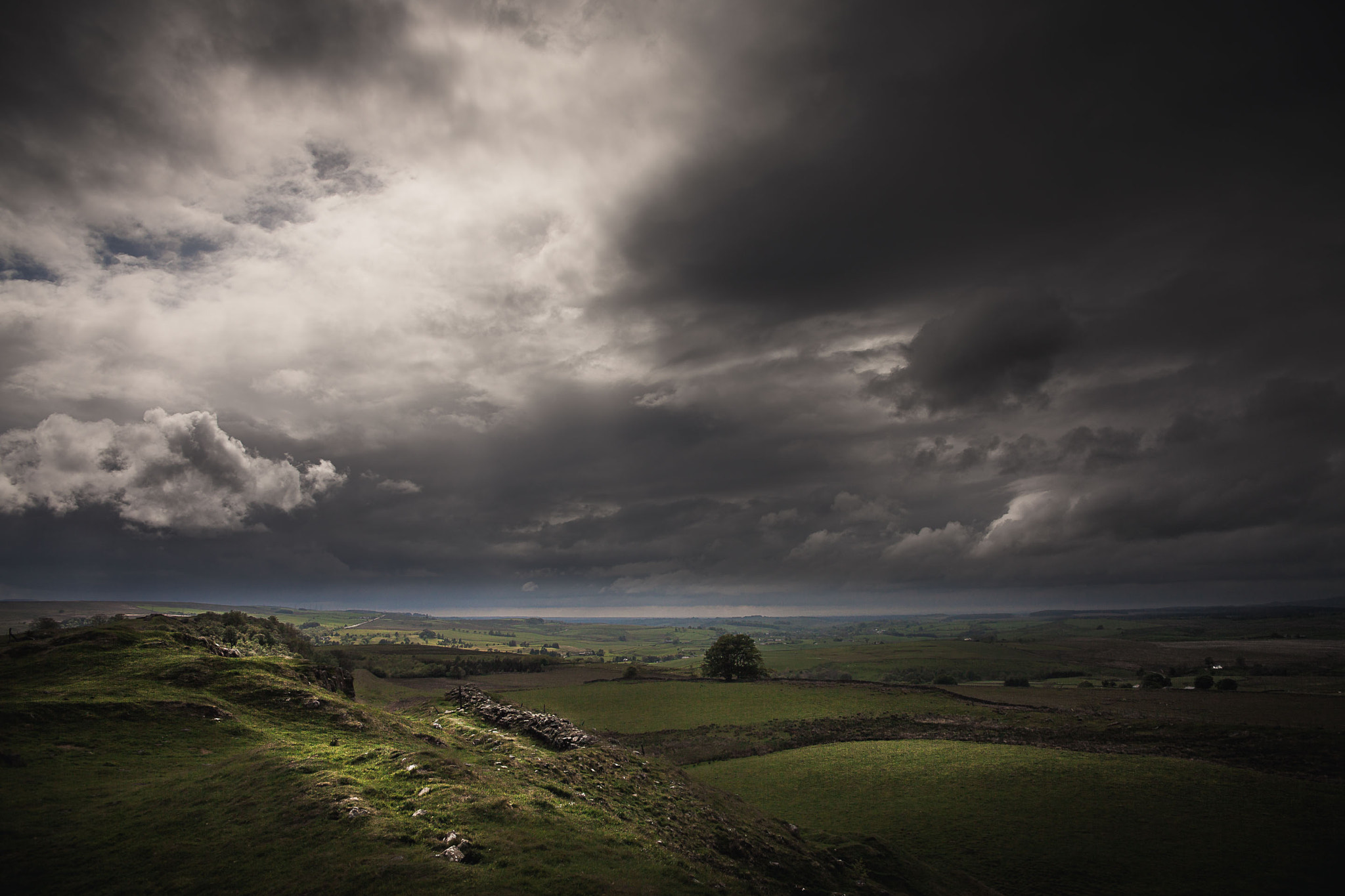 Sigma 24-70mm F2.8 EX DG Macro sample photo. Northumberland fields photography
