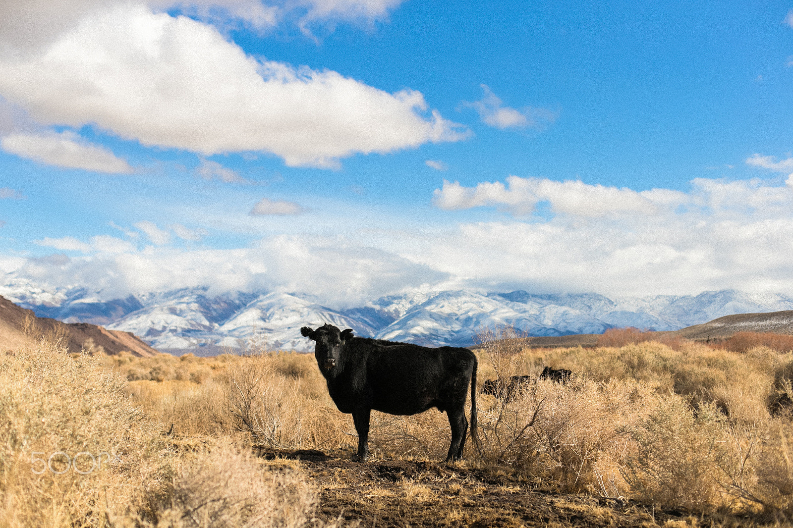 Canon EF 50mm F1.4 USM sample photo. Their land photography