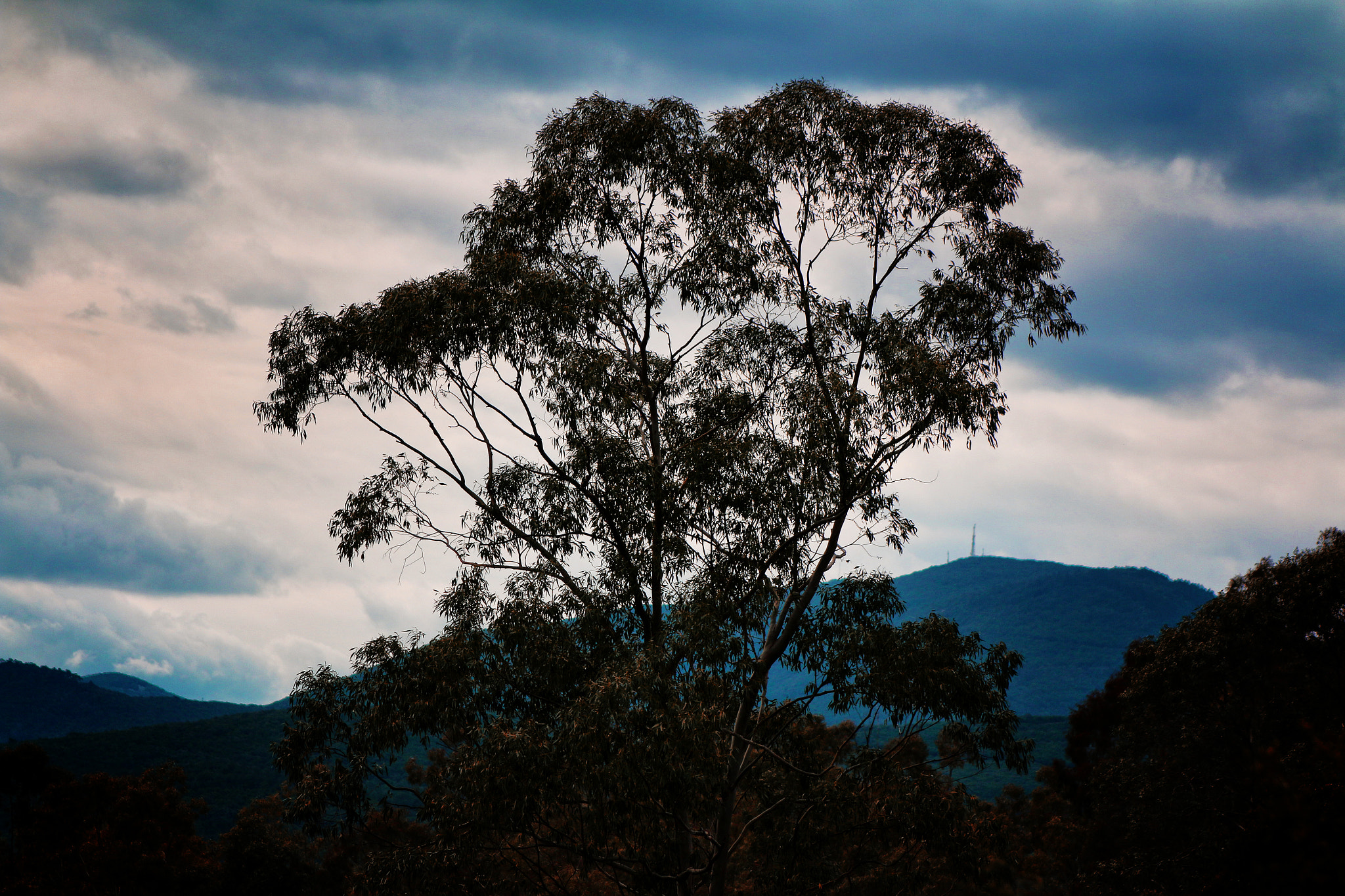 Canon EOS 70D + EF75-300mm f/4-5.6 sample photo. The lost island photography