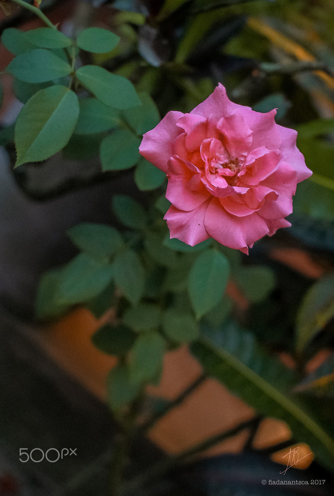 Canon EOS M sample photo. Raozy photography