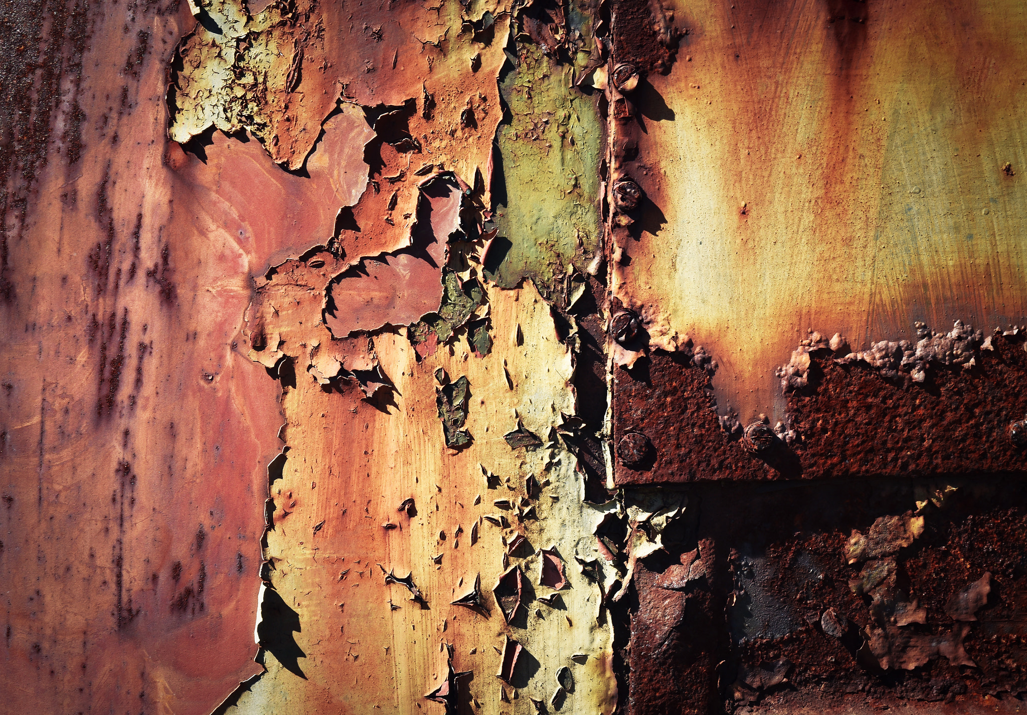 Nikon D5500 sample photo. Rusty metal plate seal photography