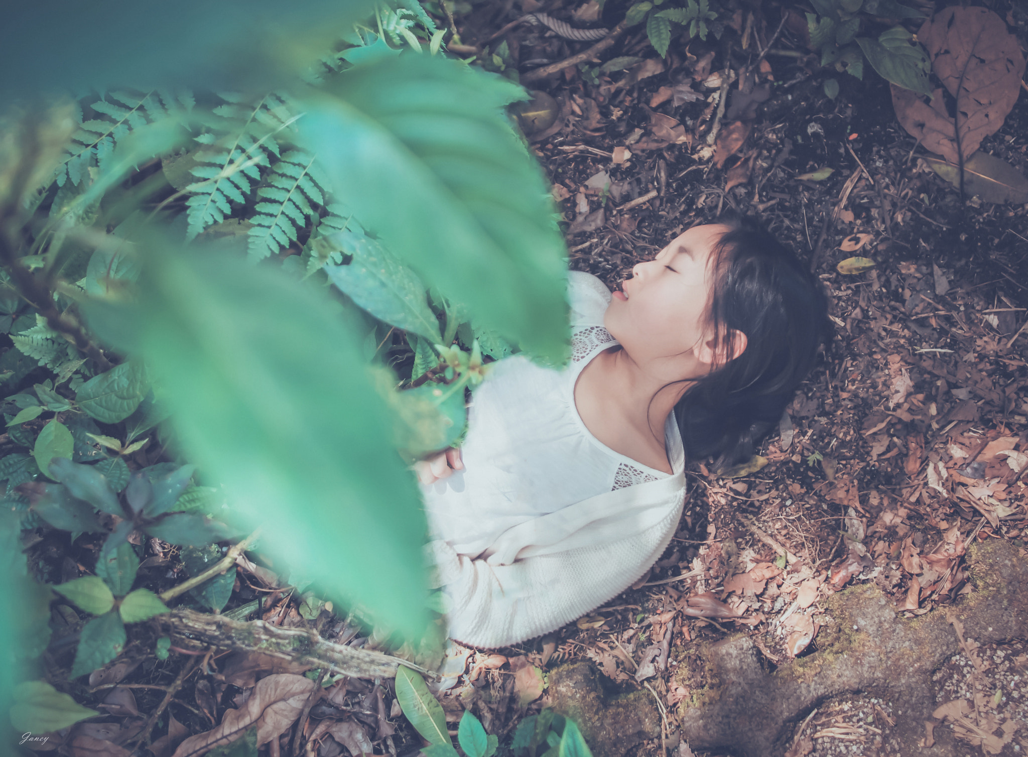 Leica M (Typ 240) + Leica Summilux-M 21mm F1.4 Asph sample photo. Nap in the forest photography