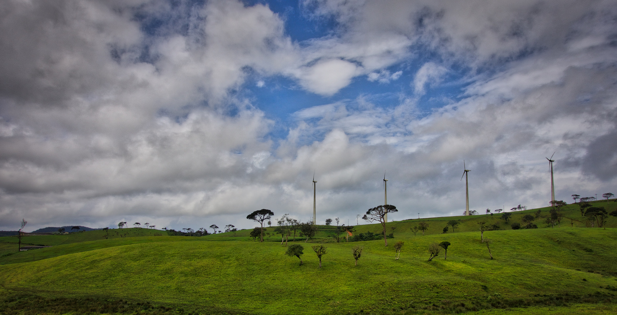 Sony 24-70mm F1.8-2.8 sample photo. Sri lanka photography