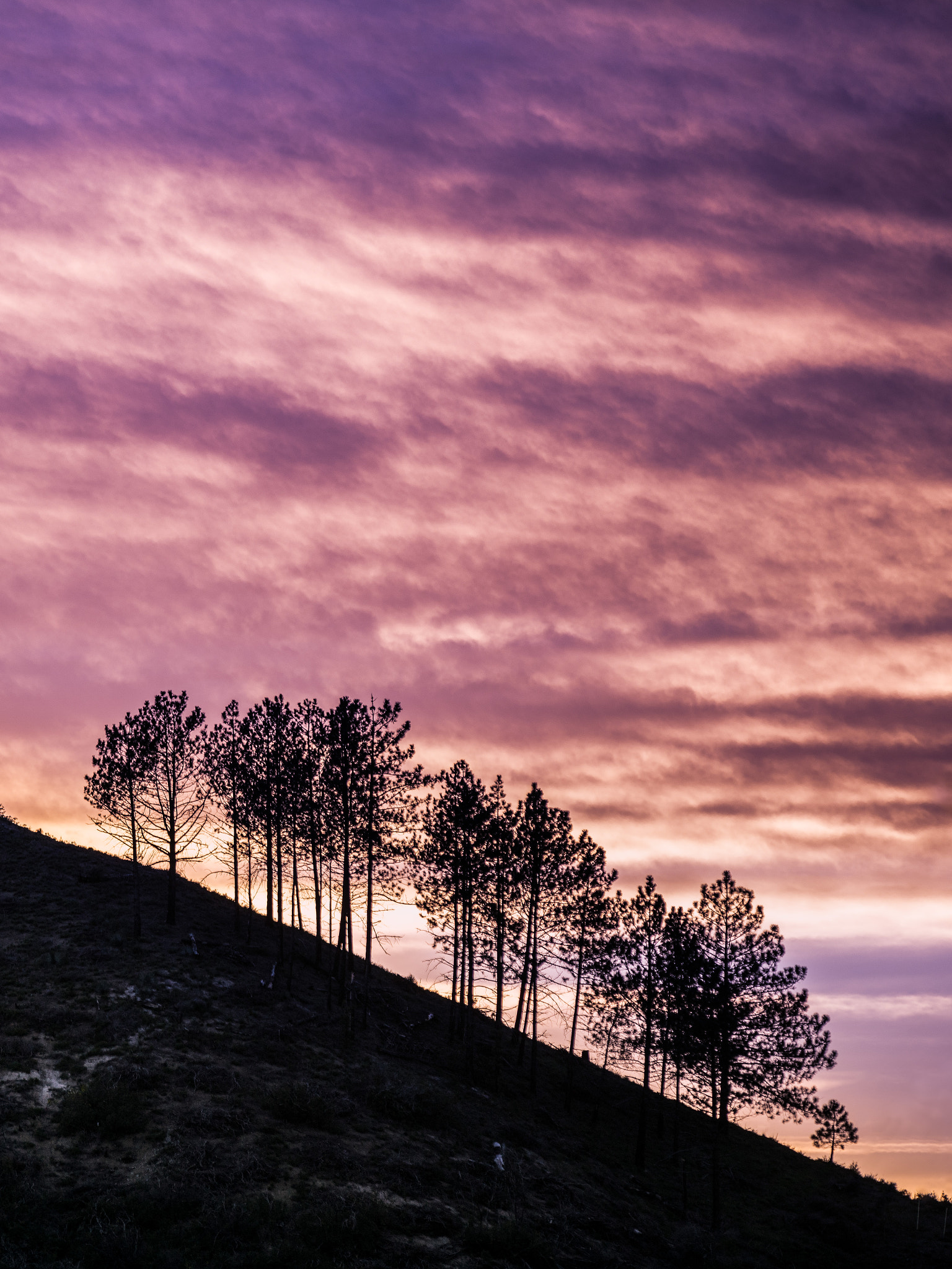 Canon EF 70-200mm F2.8L IS II USM sample photo. Chasing sunsets photography