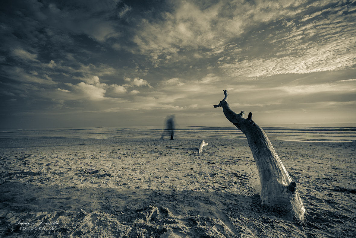 Nikon AF-S Nikkor 16-35mm F4G ED VR sample photo. Spiaggia torre cerrano photography