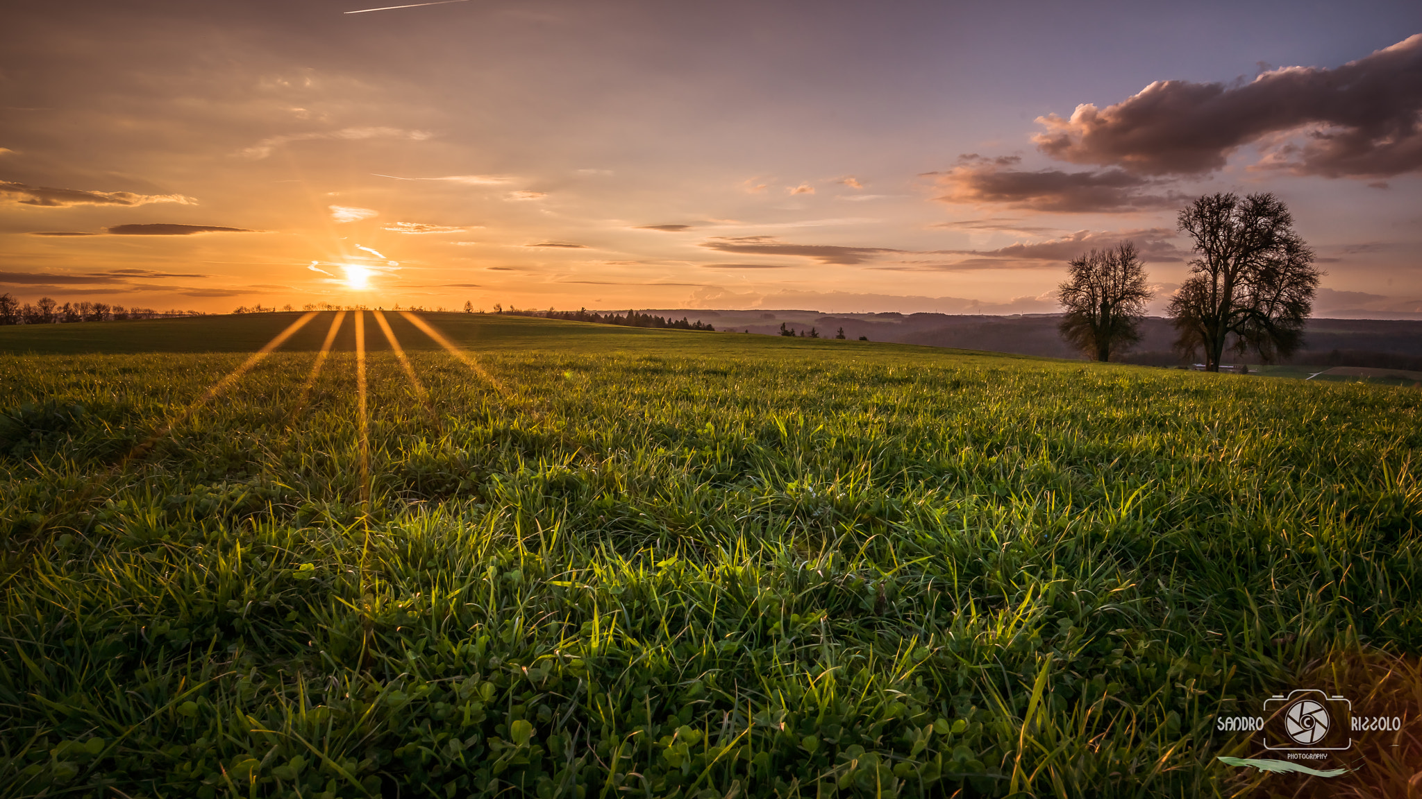 Nikon D750 + Nikon AF-S Nikkor 20mm F1.8G ED sample photo. Touched photography
