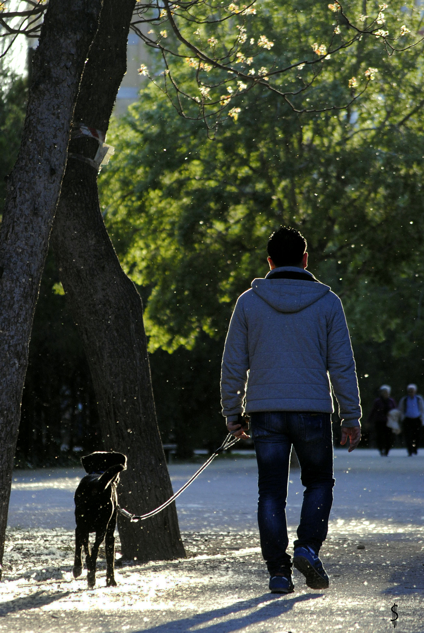 Nikon D3000 sample photo. Walk time! photography