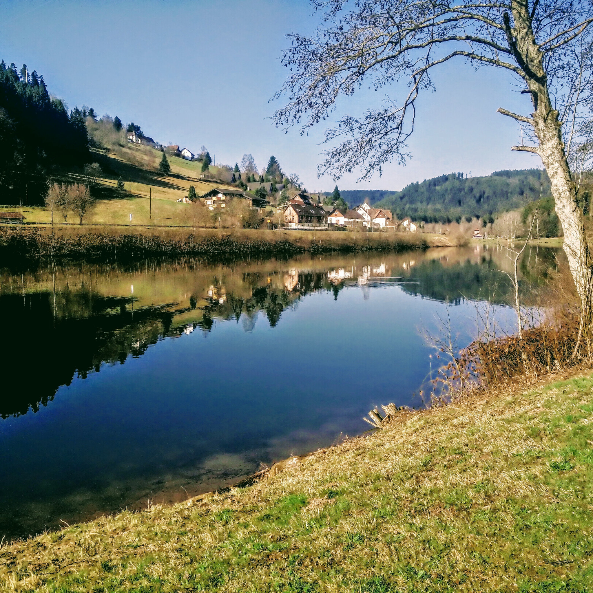 OnePlus ONE sample photo