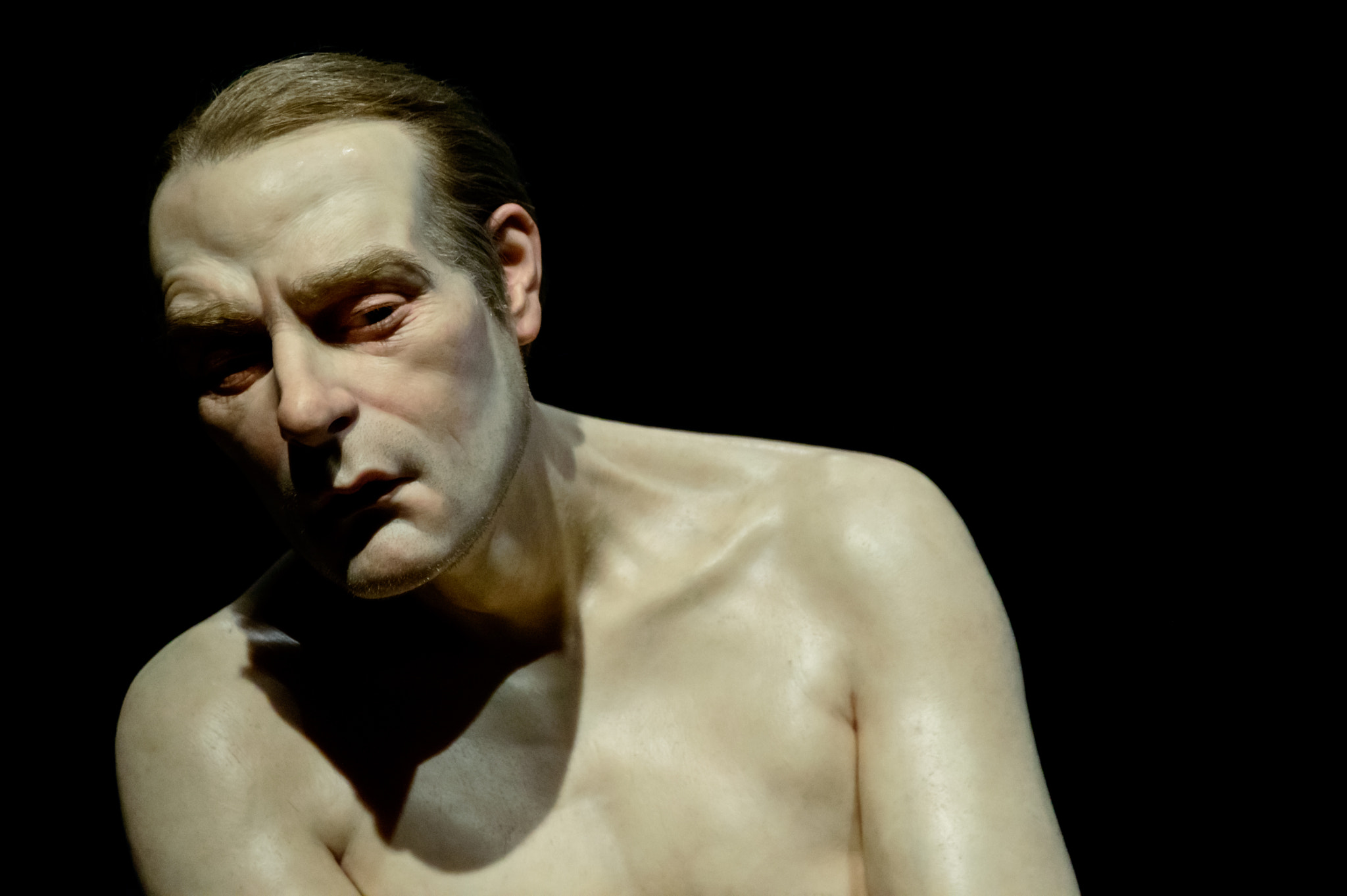 Sigma 18-250mm F3.5-6.3 DC Macro OS HSM sample photo. Ron mueck photography