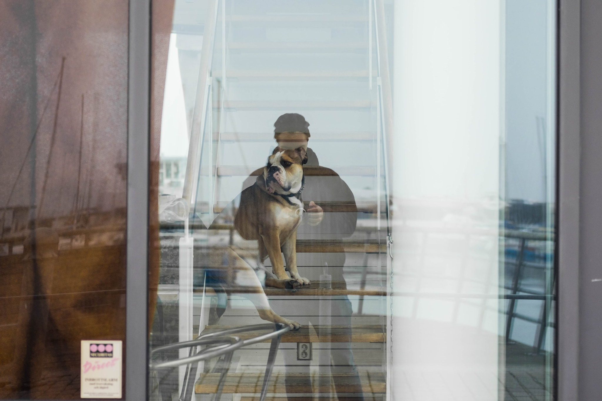 Fujifilm X-T1 + Fujifilm XF 35mm F2 R WR sample photo. Dscf photography