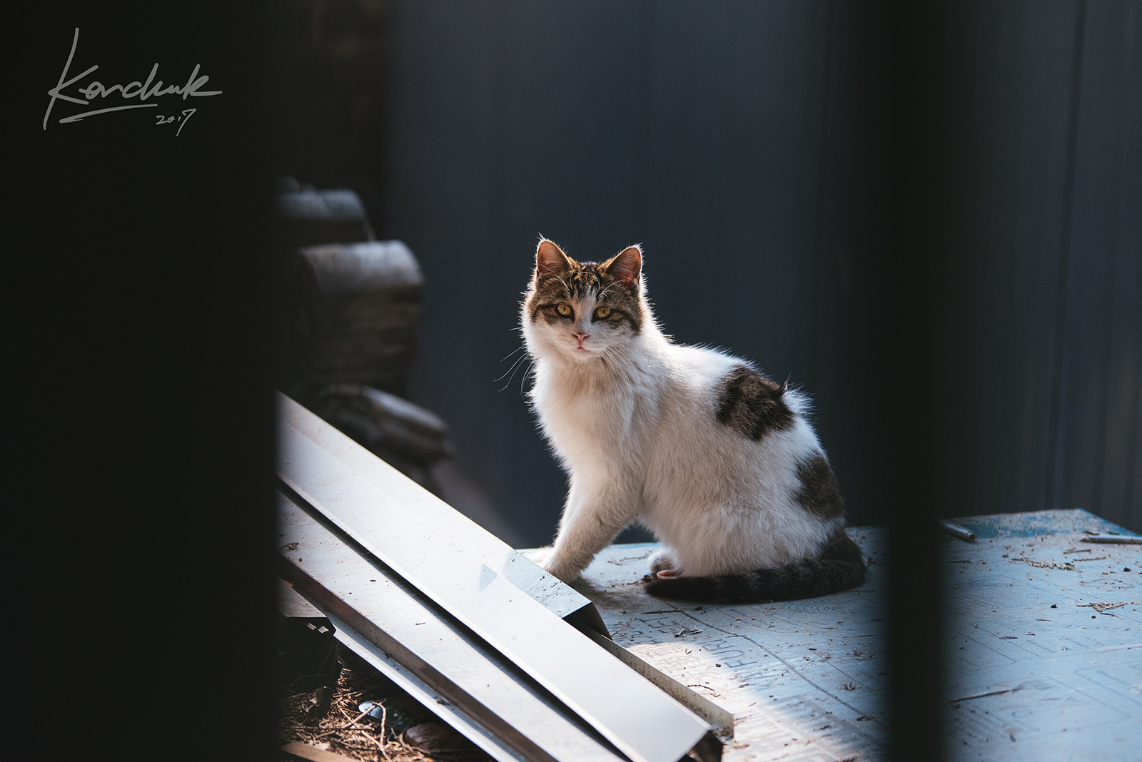 Sigma 70-200mm F2.8 EX DG OS HSM sample photo