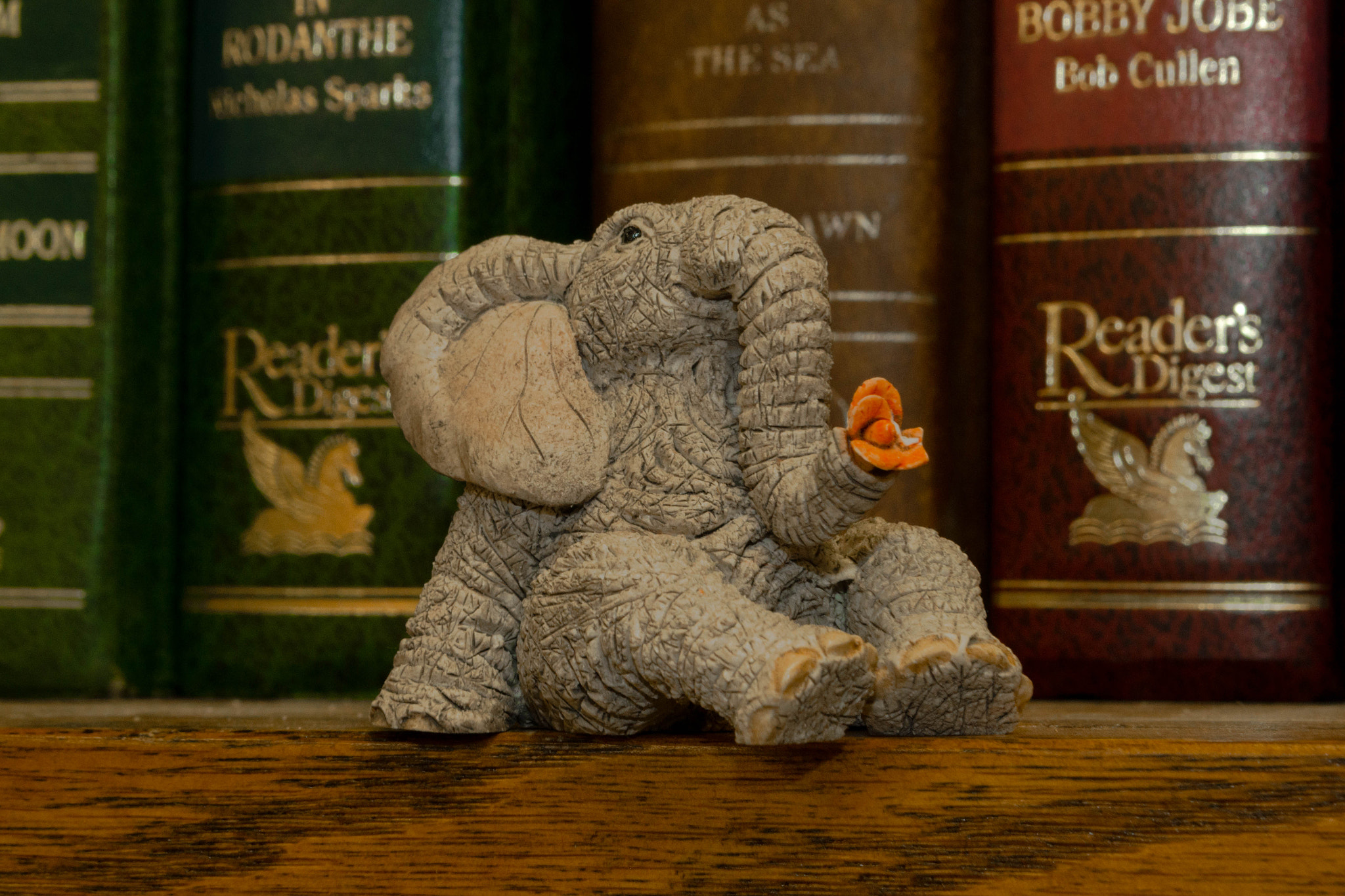Nikon D800 sample photo. An elephant never forgets photography