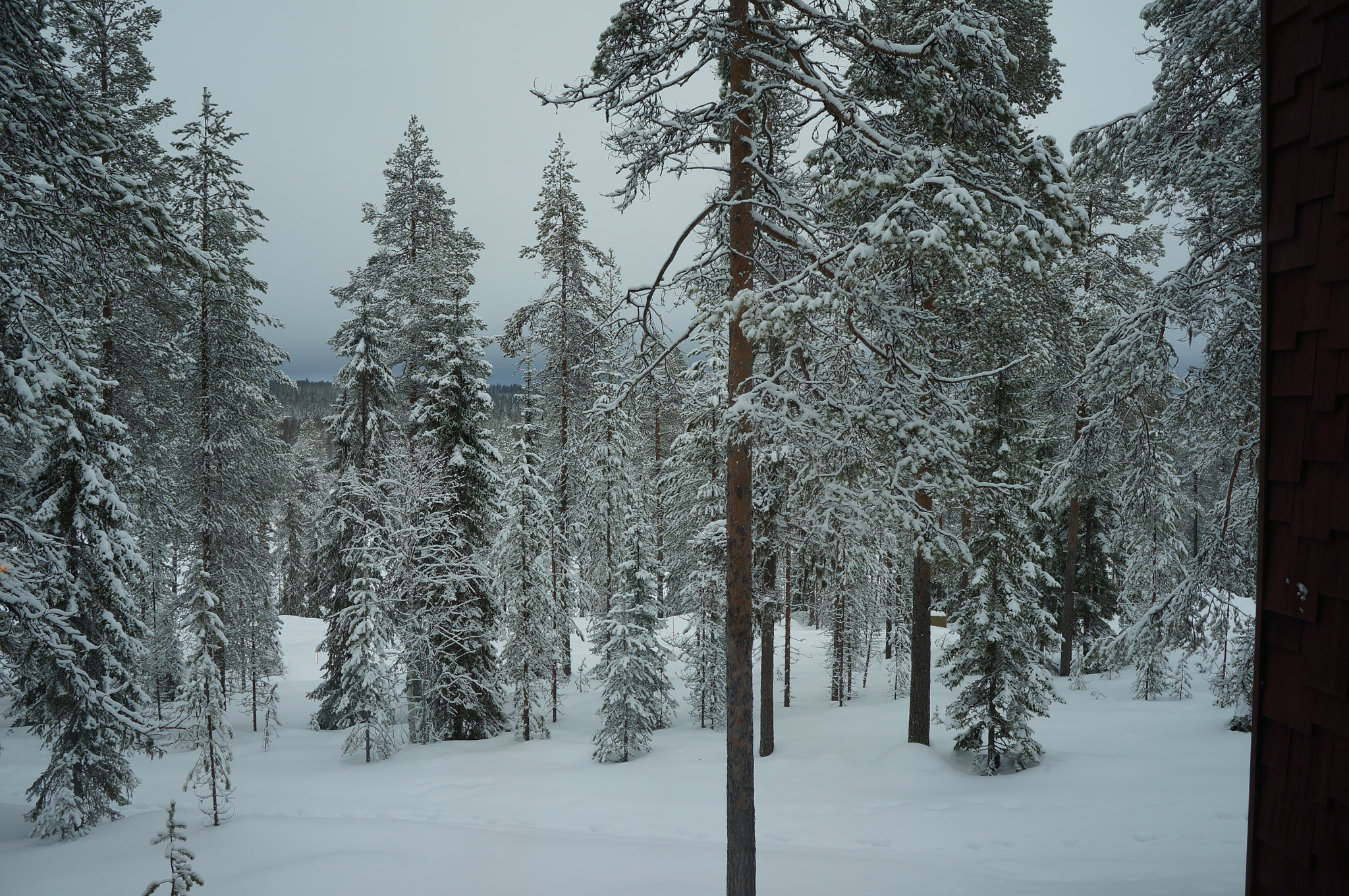 Sony Alpha NEX-5N sample photo. Artic lapland  photography