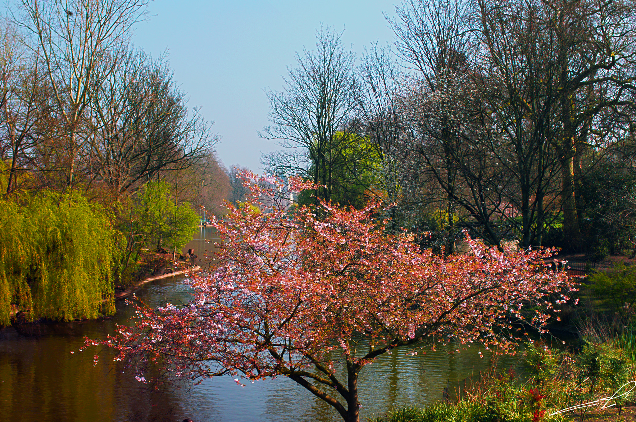 Canon EF 35mm F1.4L USM sample photo. Queens view photography